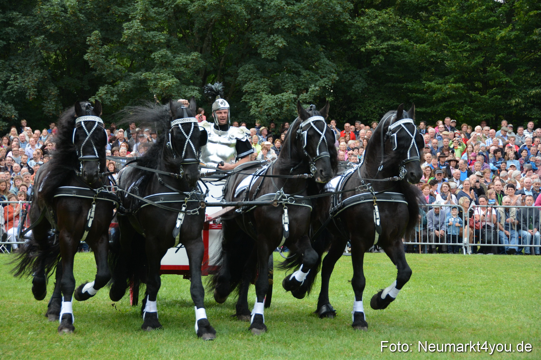 Pferde und Fohlenschau 2016 0084