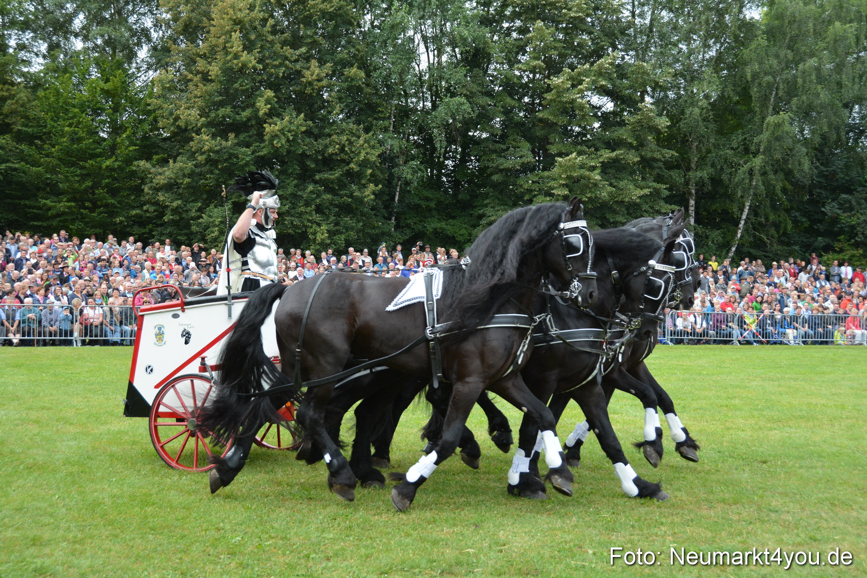 Pferde und Fohlenschau 2016 0085