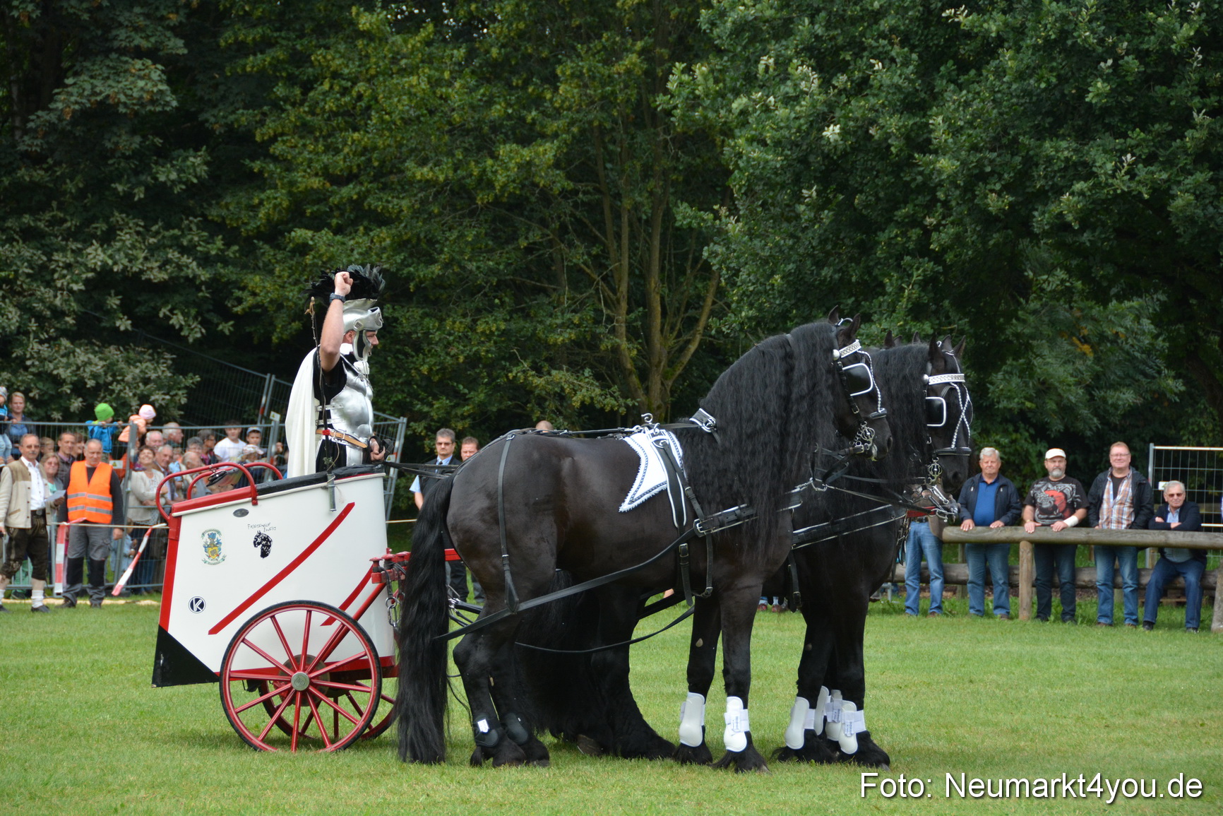 Pferde und Fohlenschau 2016 0086