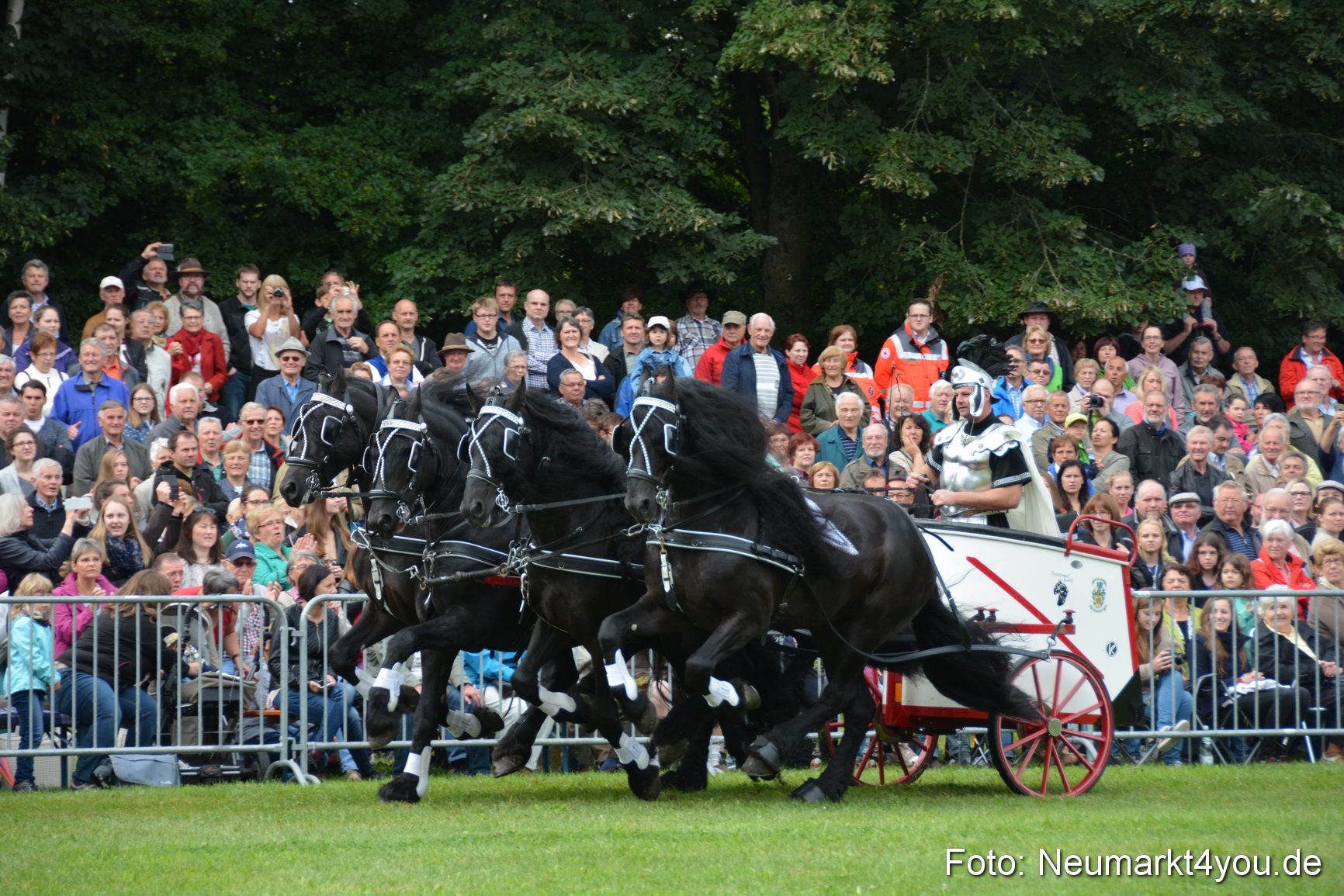 Pferde und Fohlenschau 2016 0087