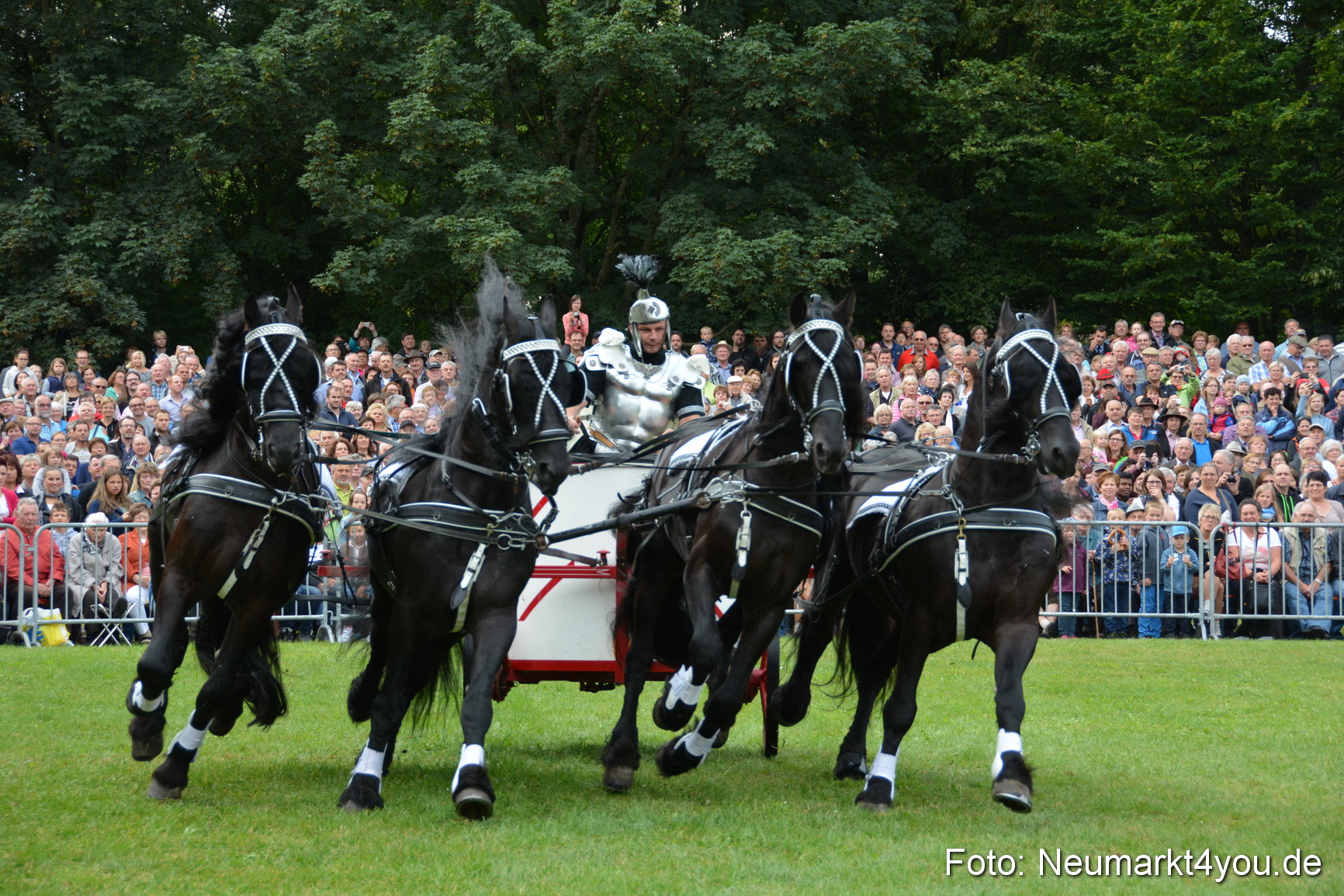 Pferde und Fohlenschau 2016 0088