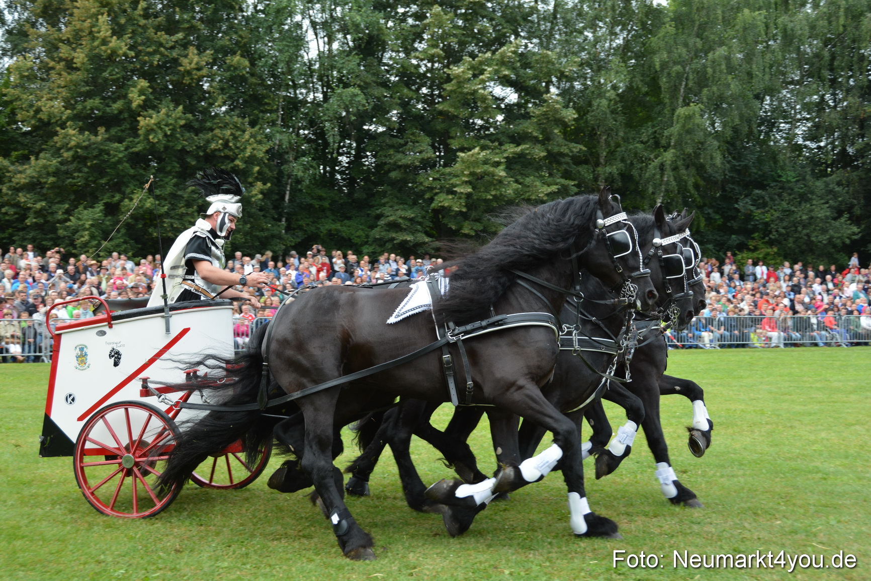 Pferde und Fohlenschau 2016 0089