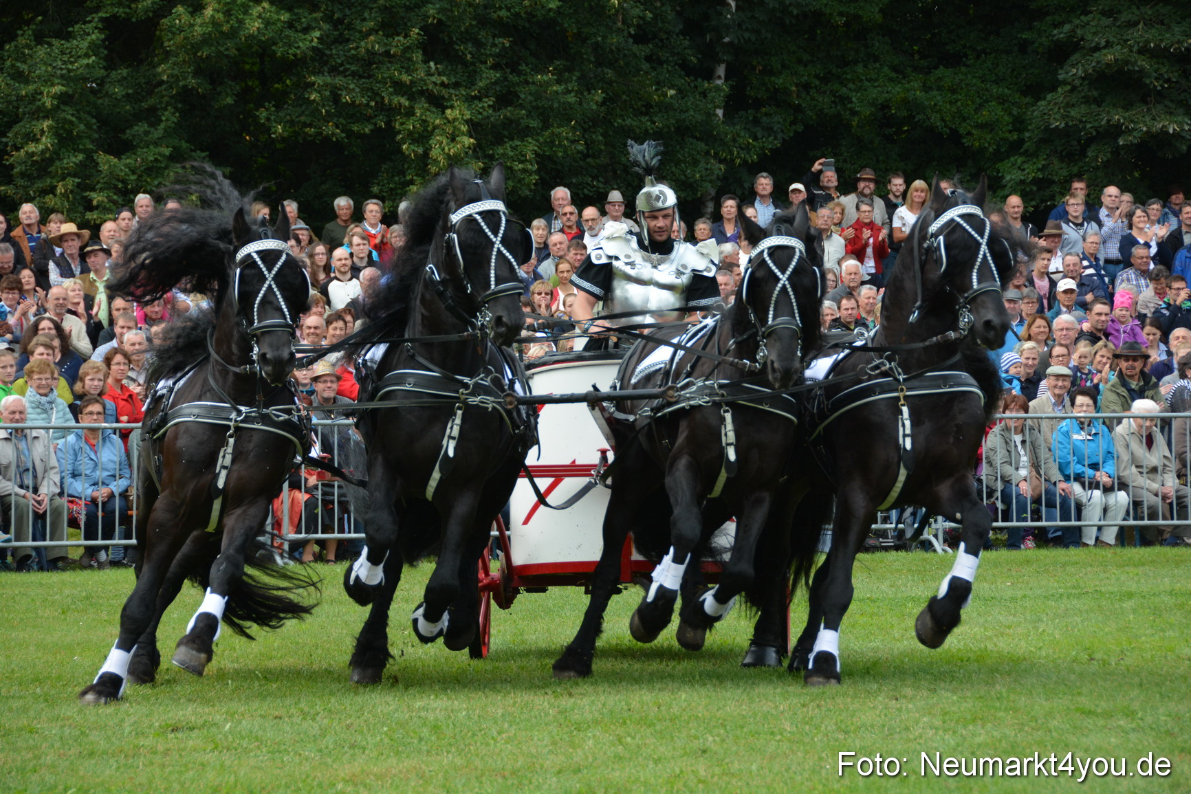 Pferde und Fohlenschau 2016 0090