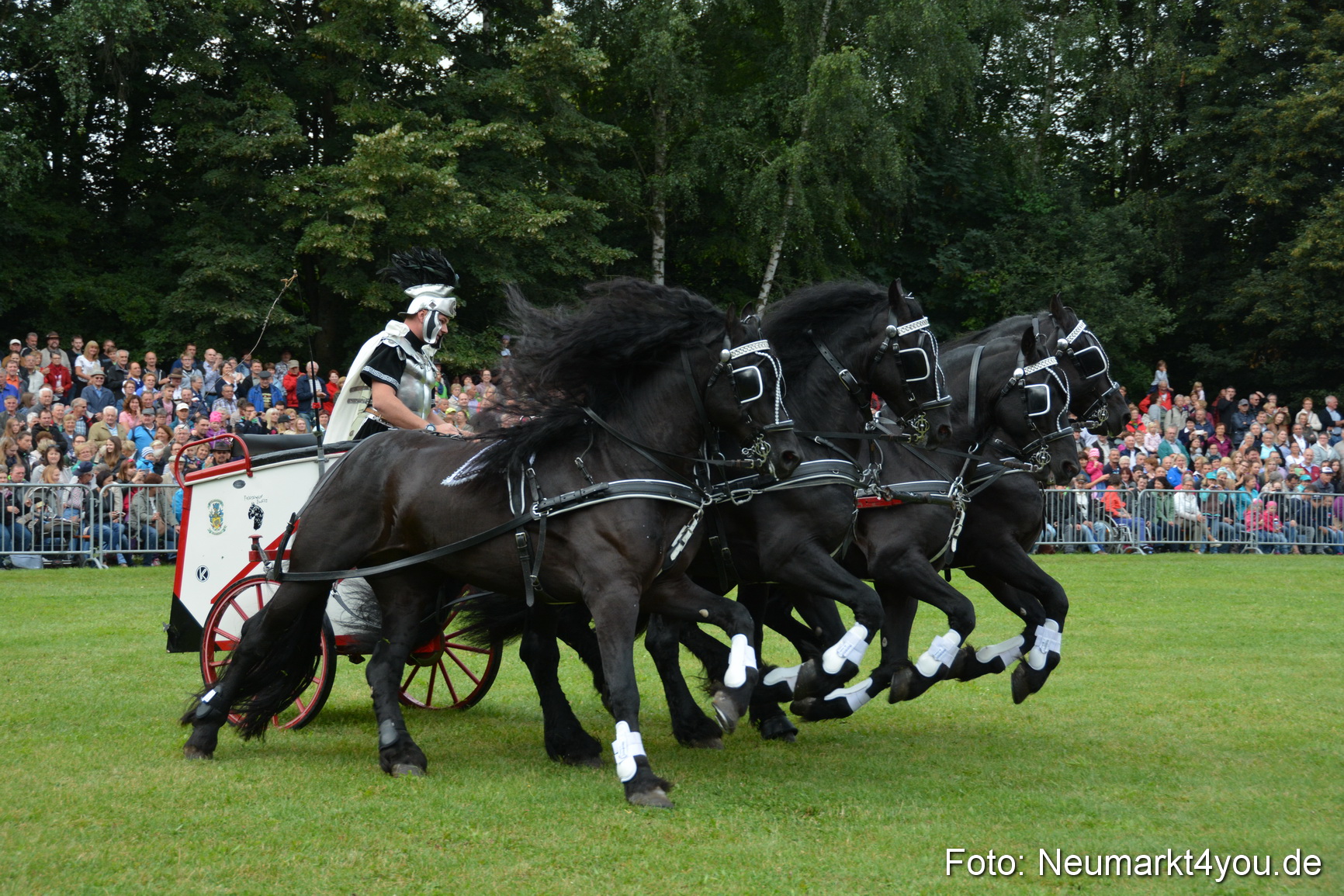 Pferde und Fohlenschau 2016 0091