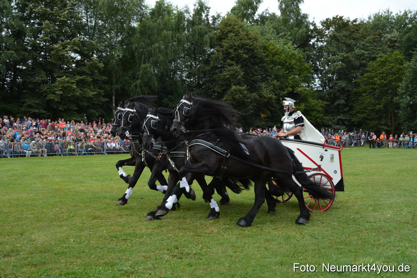 Pferde und Fohlenschau 2016 0092