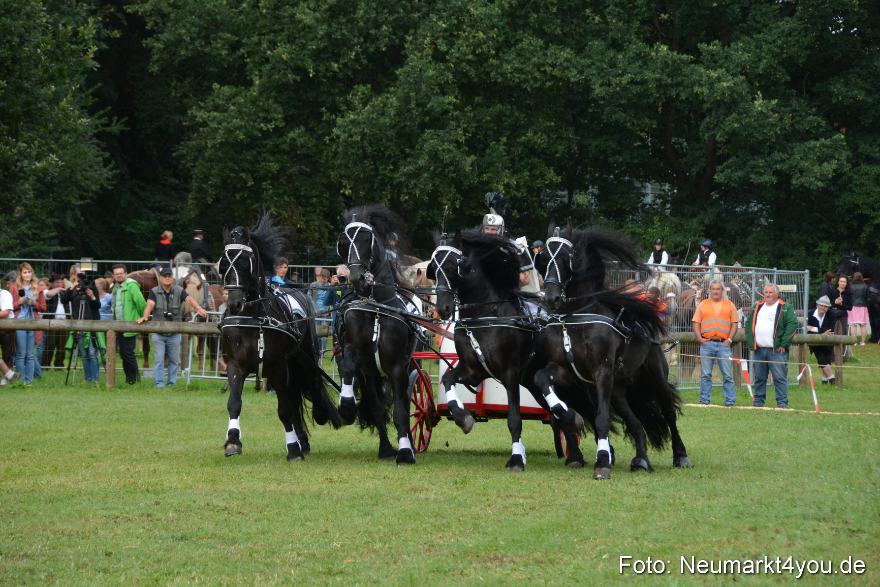 Pferde und Fohlenschau 2016 0093