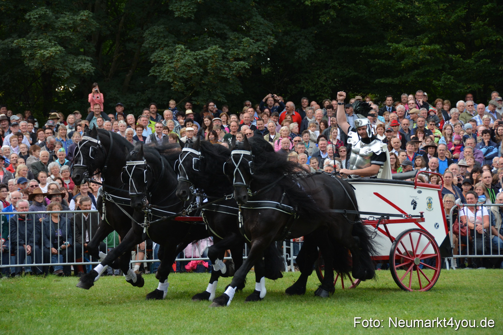Pferde und Fohlenschau 2016 0094
