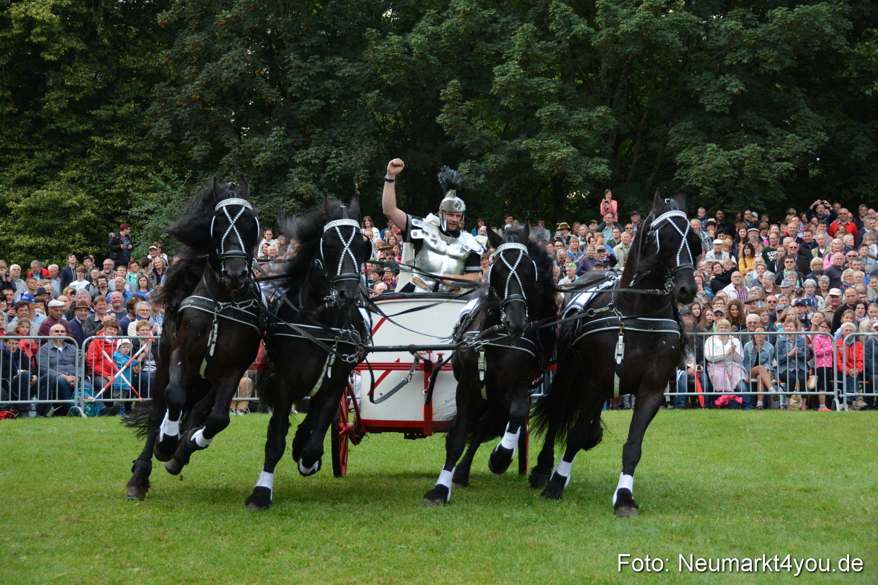 Pferde und Fohlenschau 2016 0095
