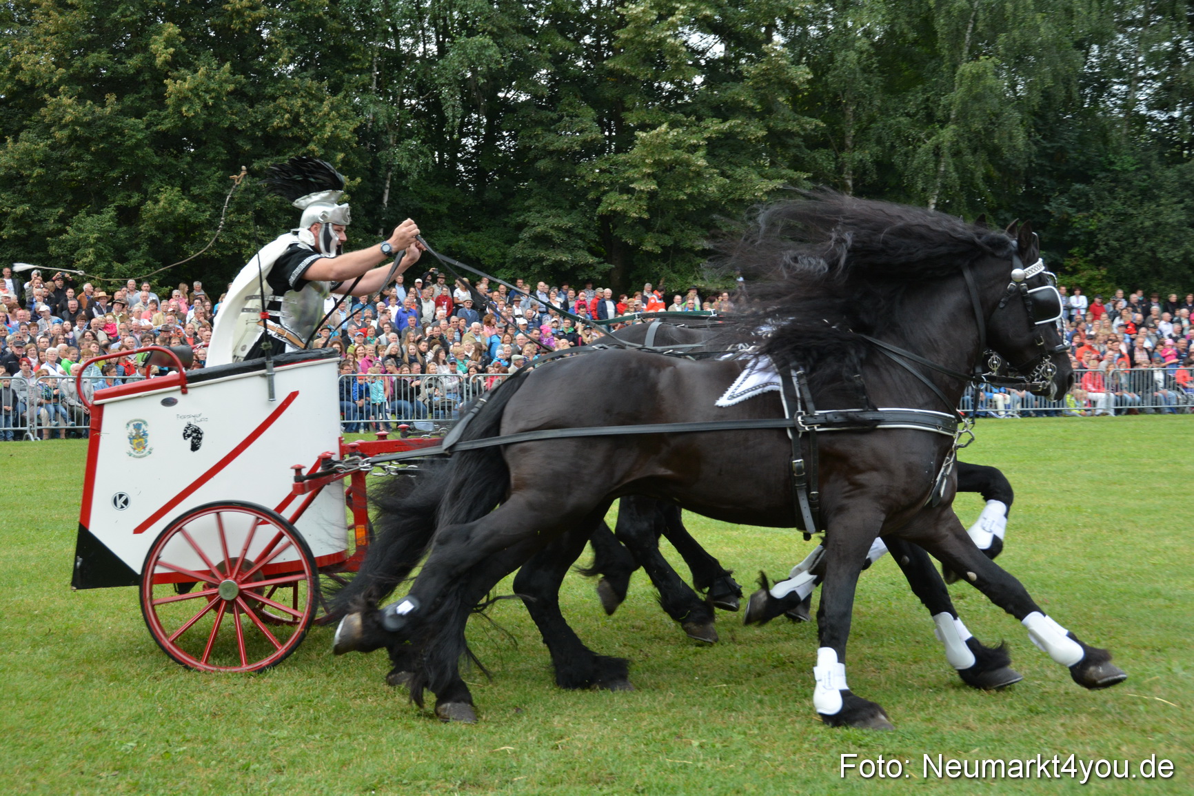 Pferde und Fohlenschau 2016 0096