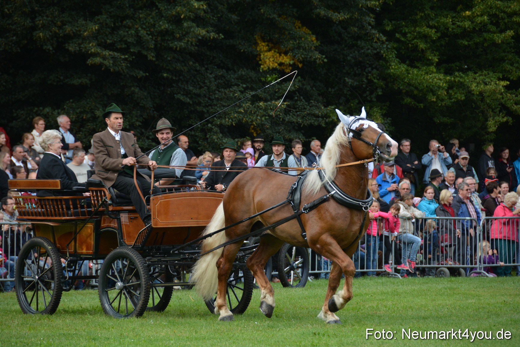 Pferde und Fohlenschau 2016 0097