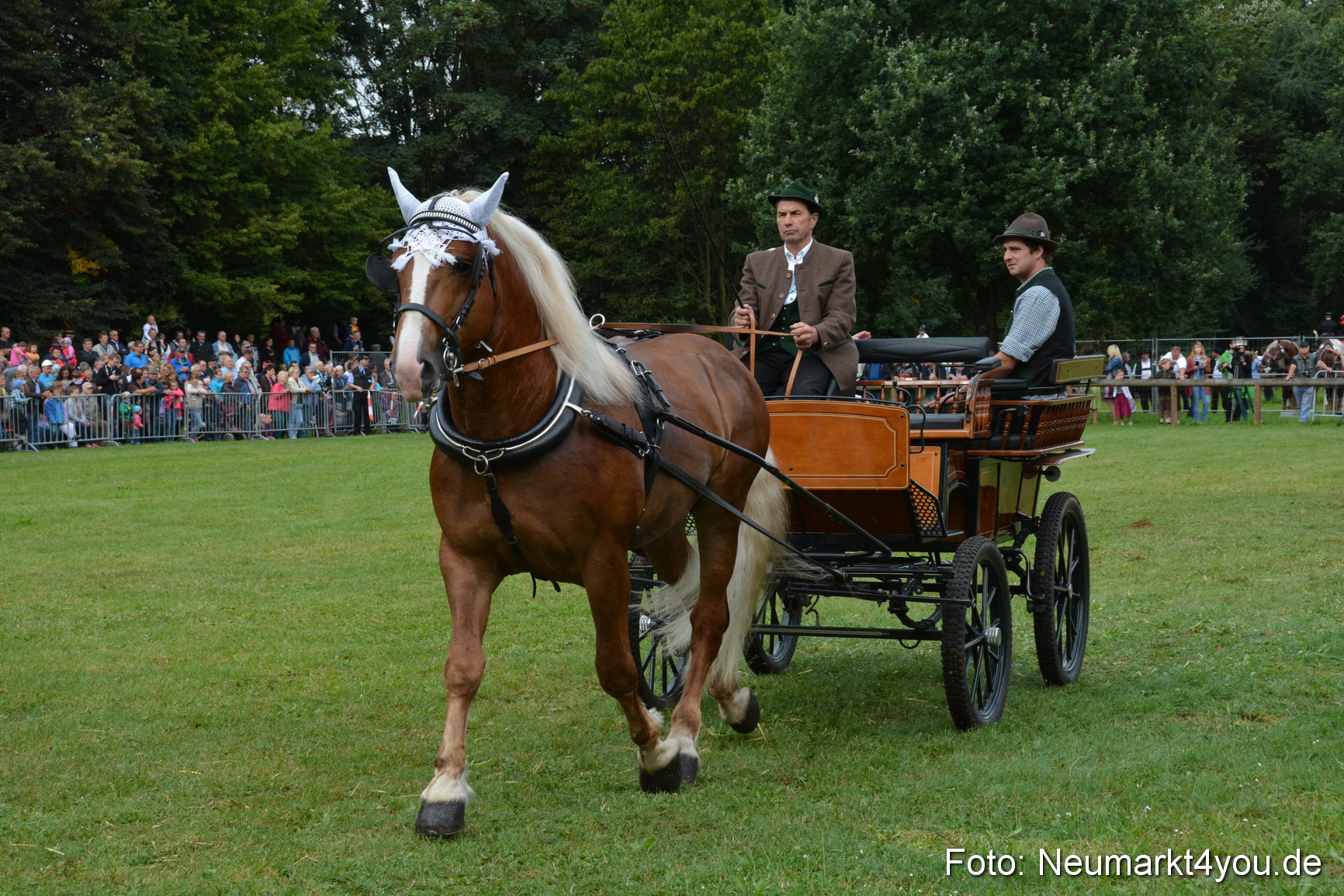 Pferde und Fohlenschau 2016 0098