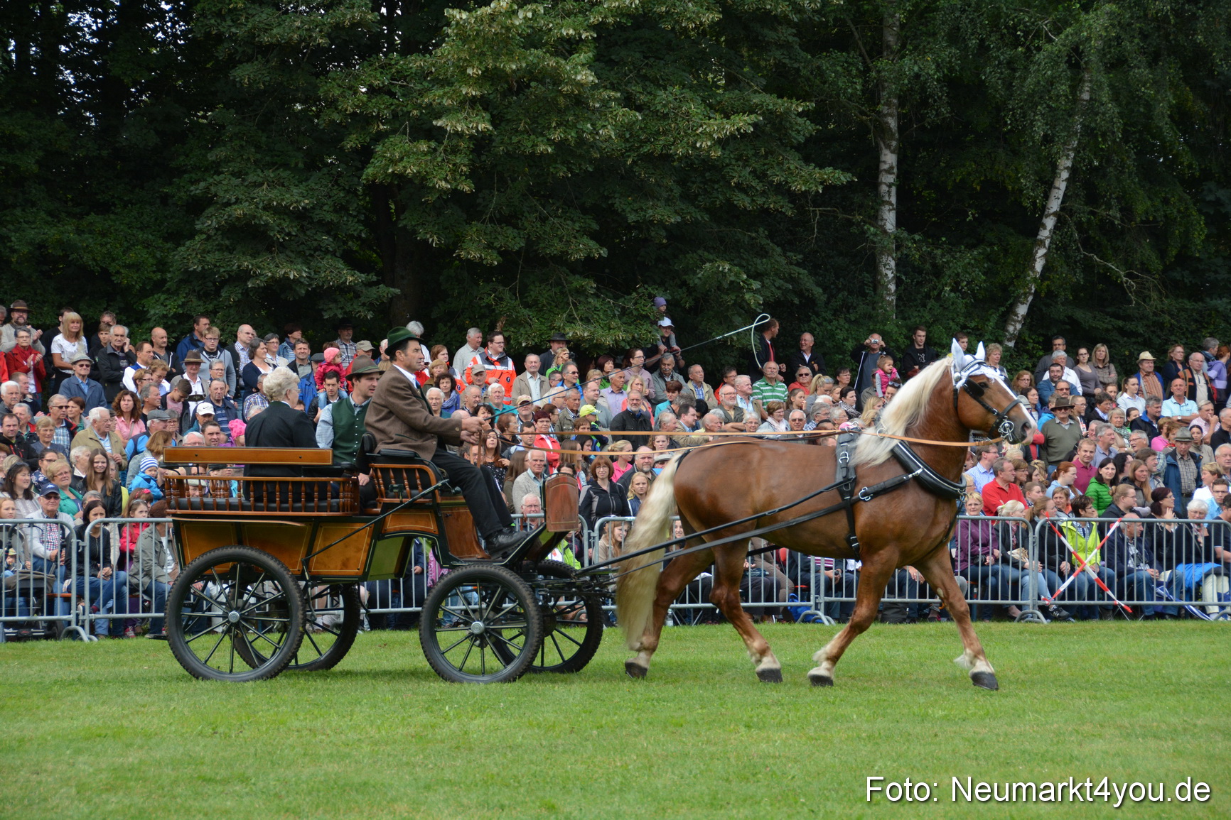 Pferde und Fohlenschau 2016 0100