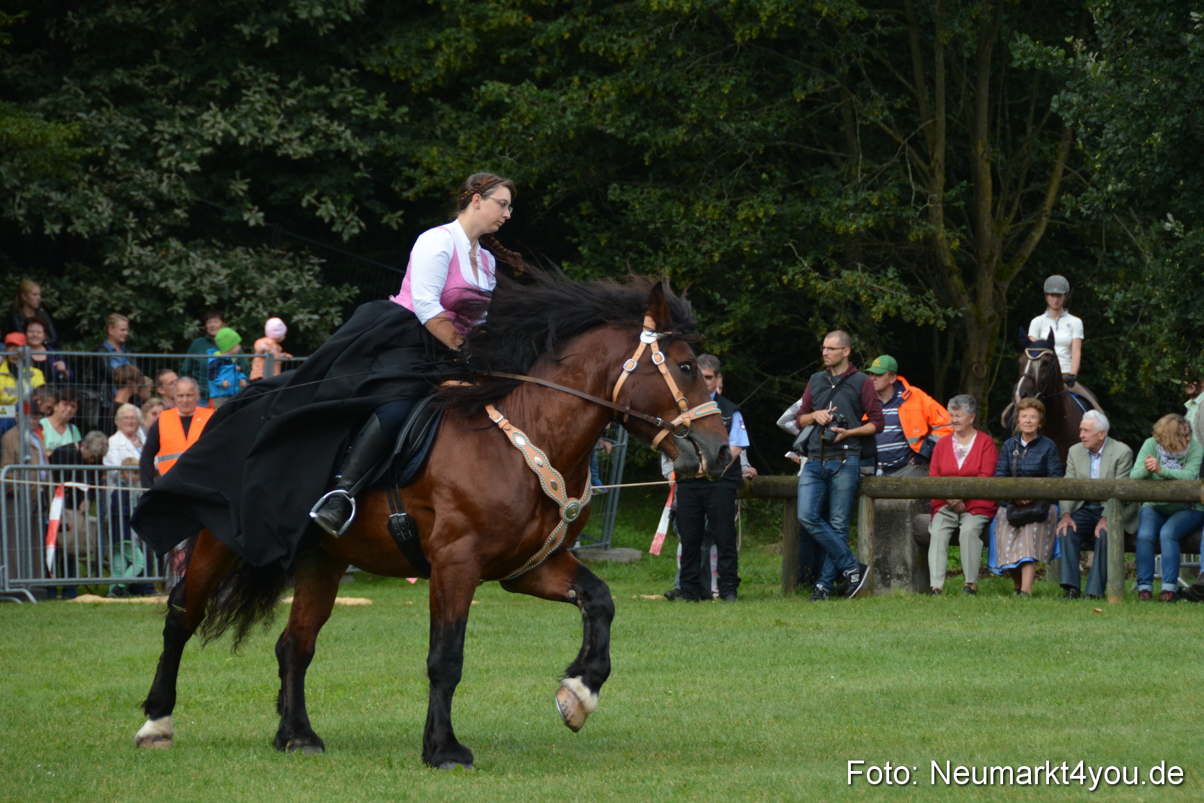 Pferde und Fohlenschau 2016 0102