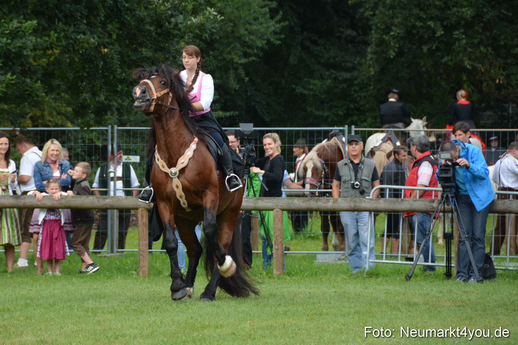 Pferde und Fohlenschau 2016 0103