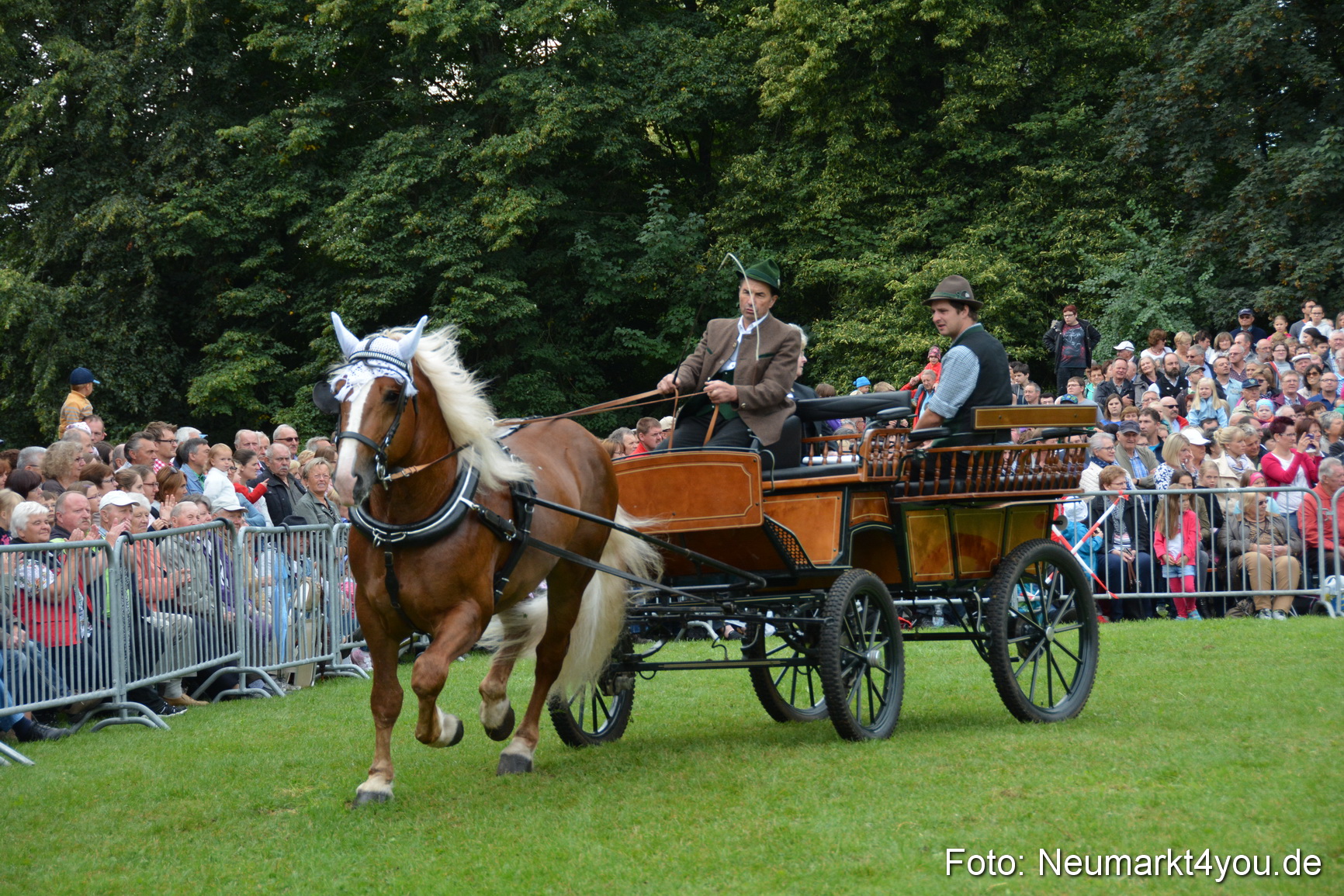 Pferde und Fohlenschau 2016 0104