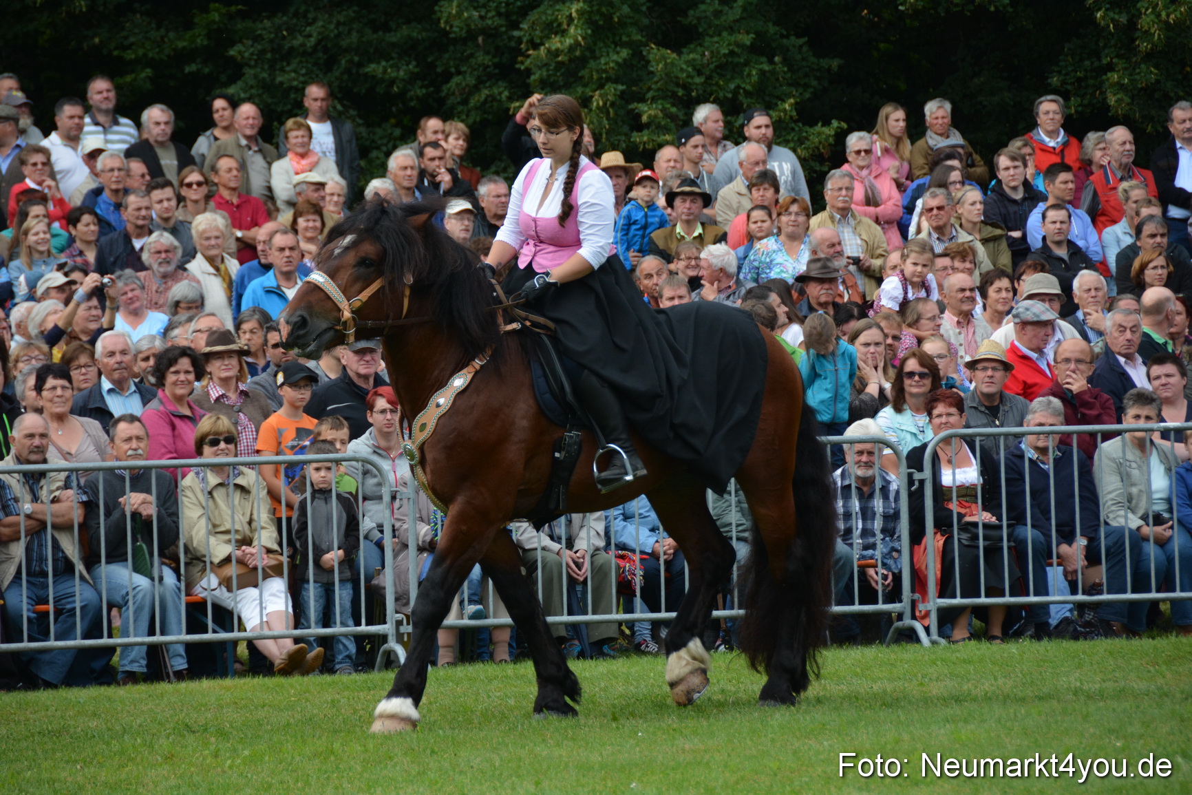 Pferde und Fohlenschau 2016 0106