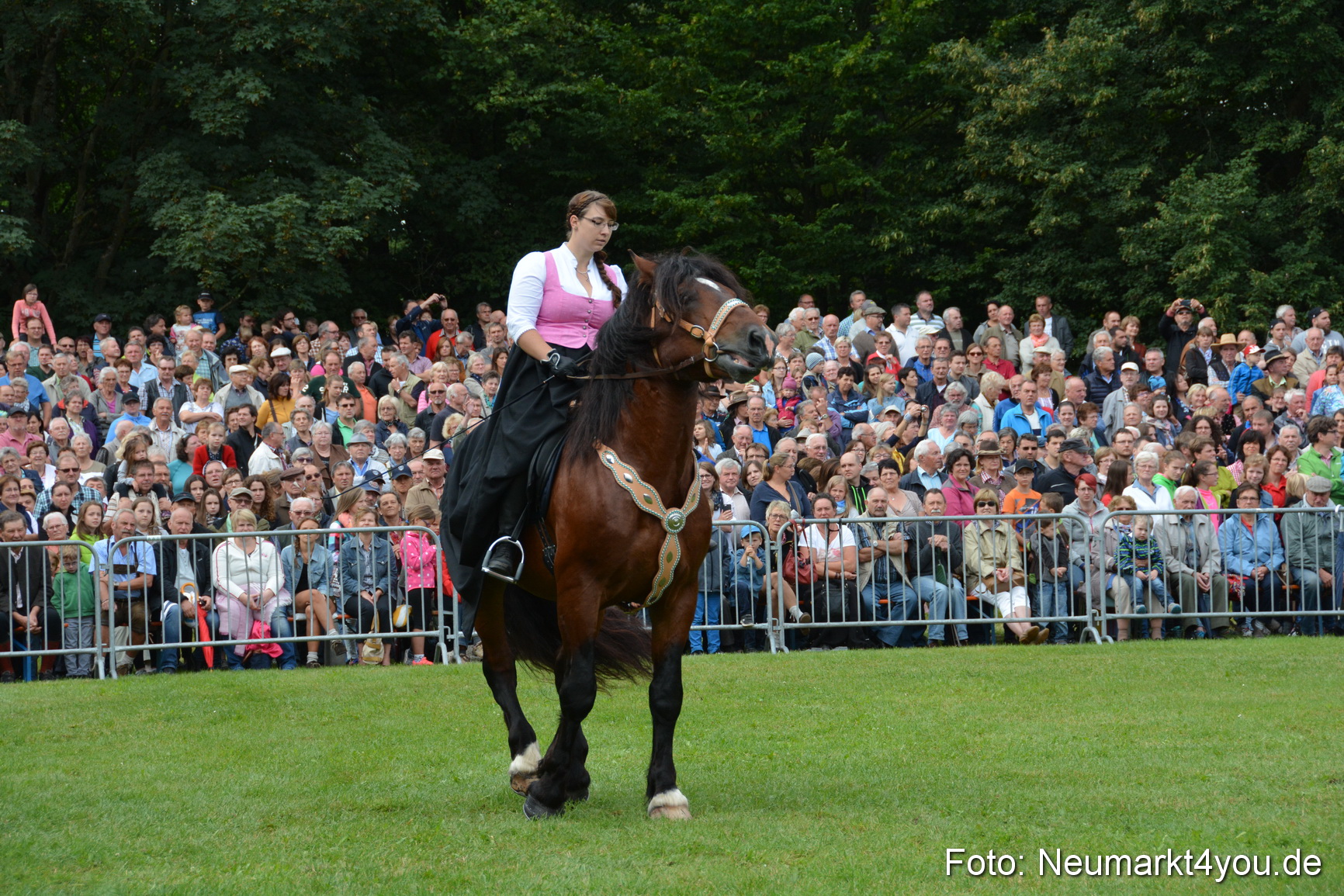 Pferde und Fohlenschau 2016 0107