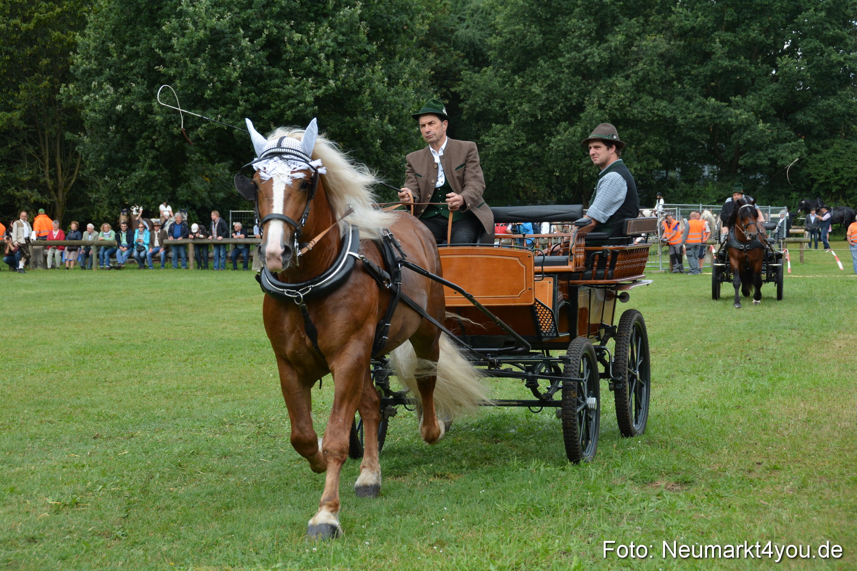 Pferde und Fohlenschau 2016 0108