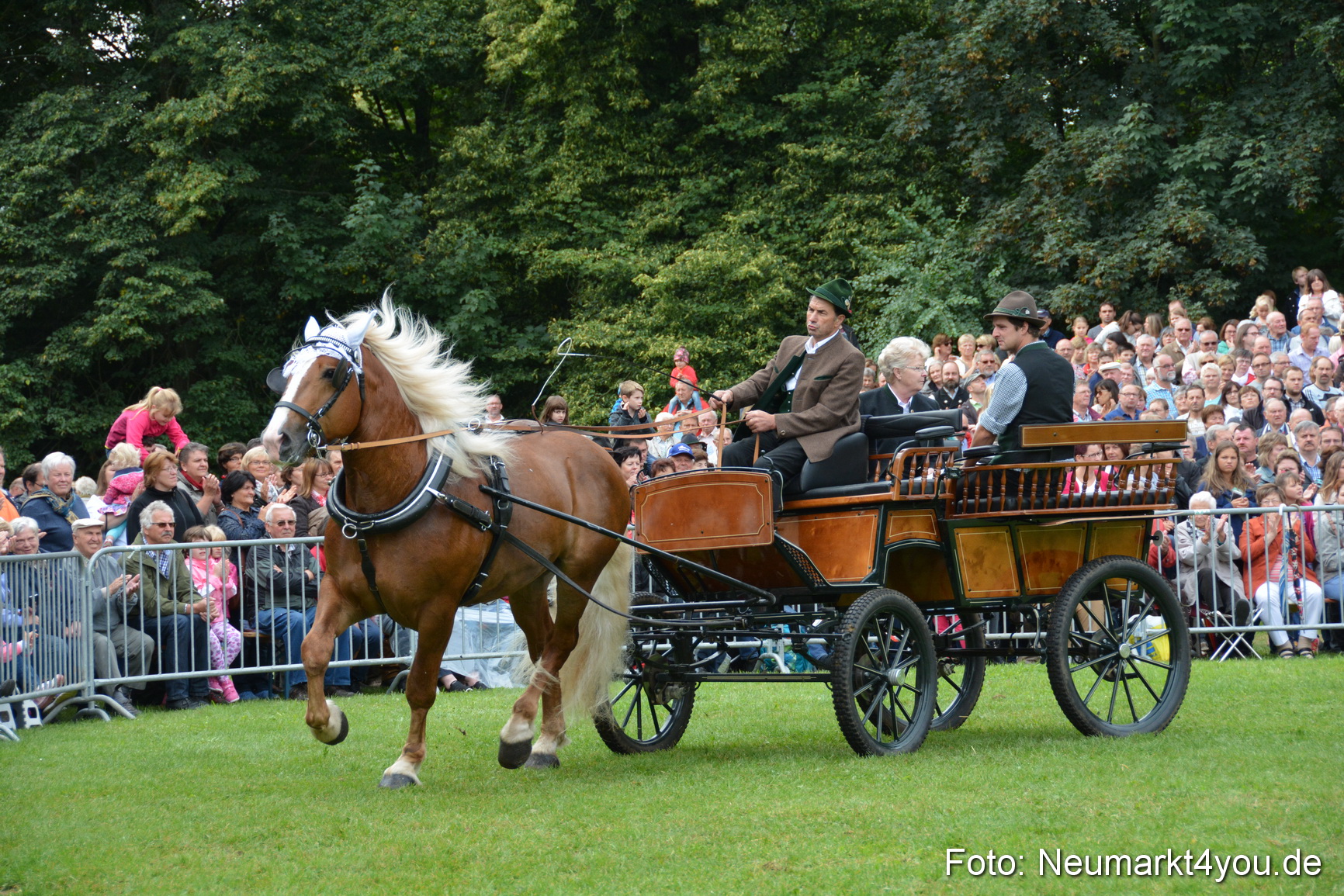 Pferde und Fohlenschau 2016 0109