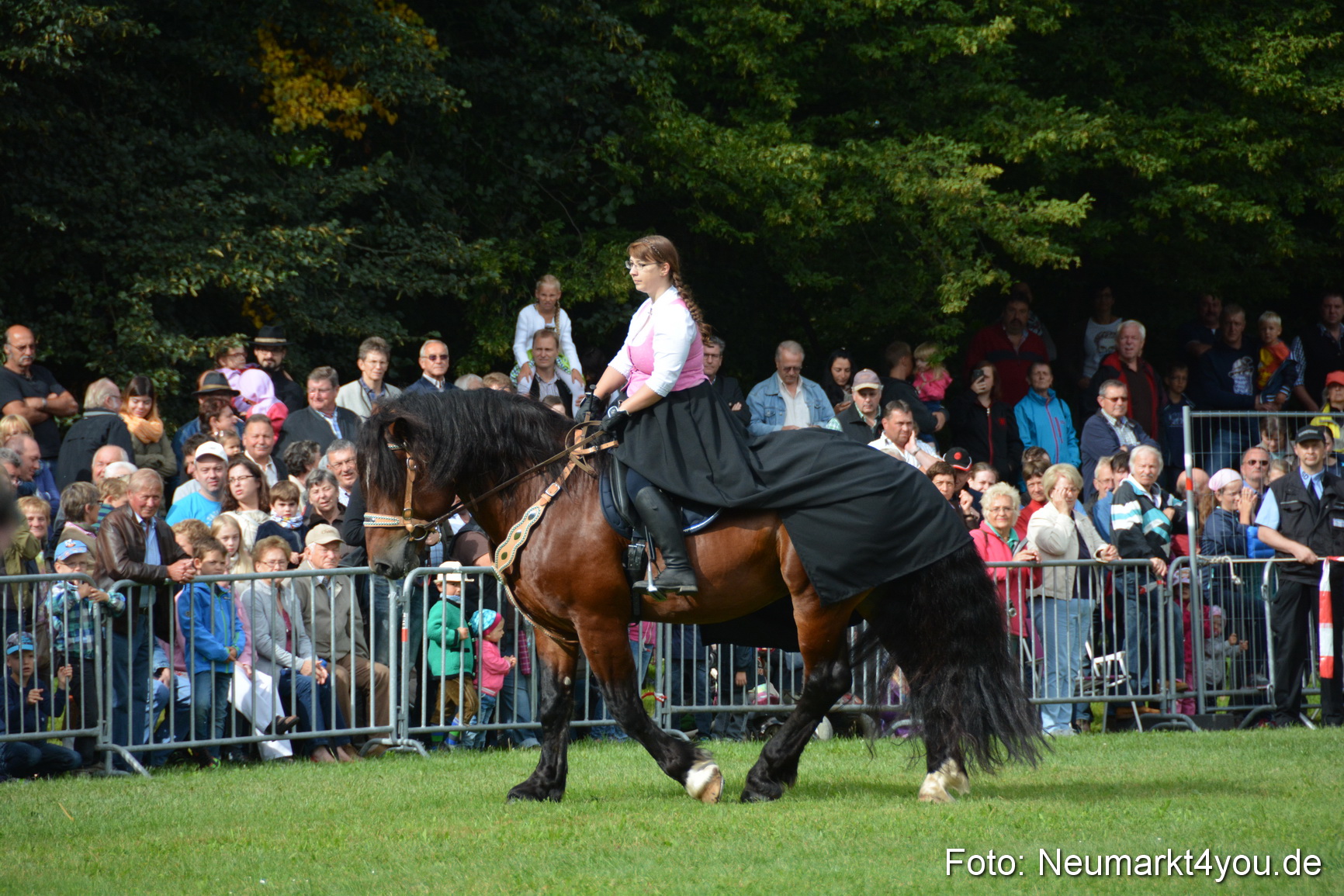 Pferde und Fohlenschau 2016 0110