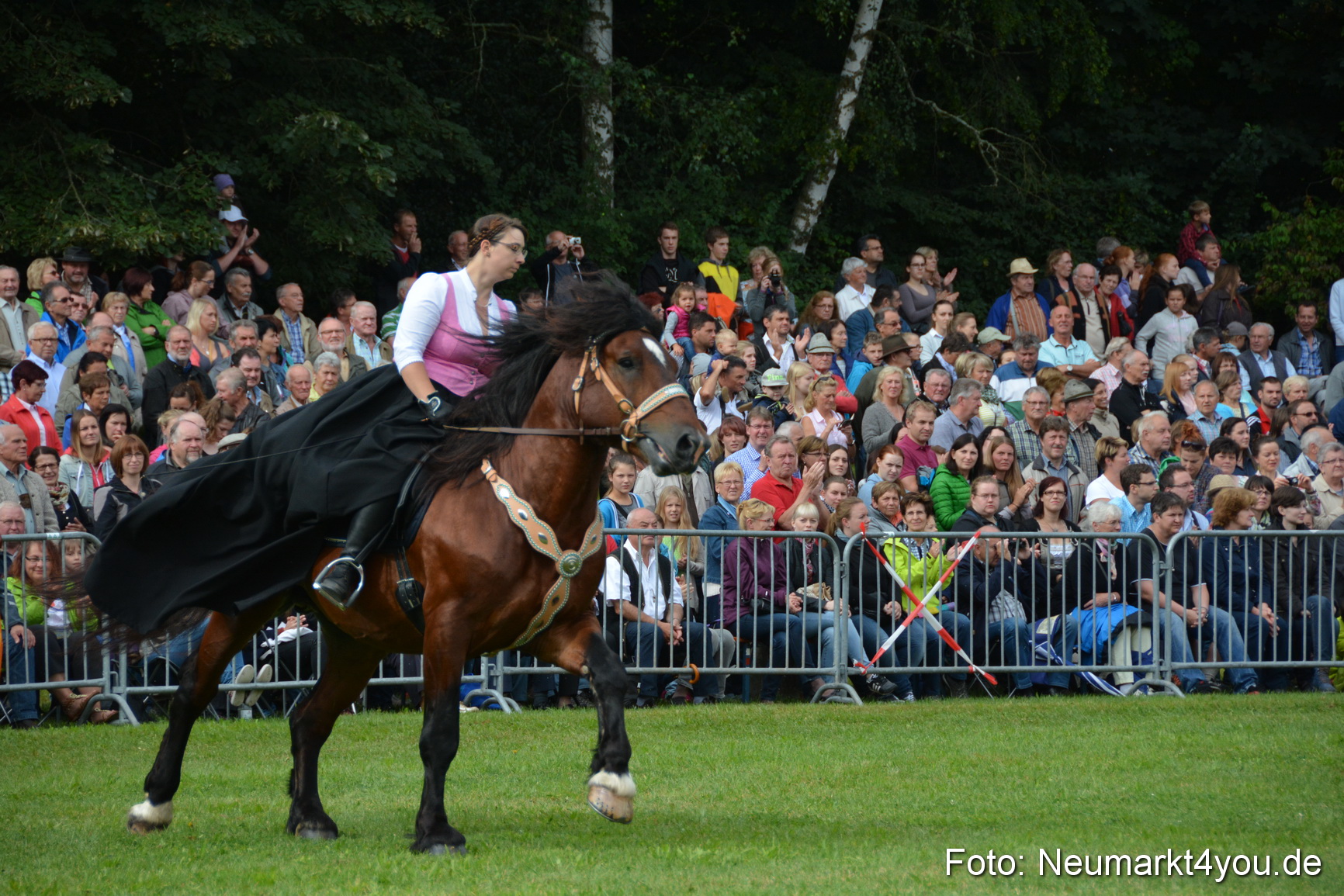 Pferde und Fohlenschau 2016 0111