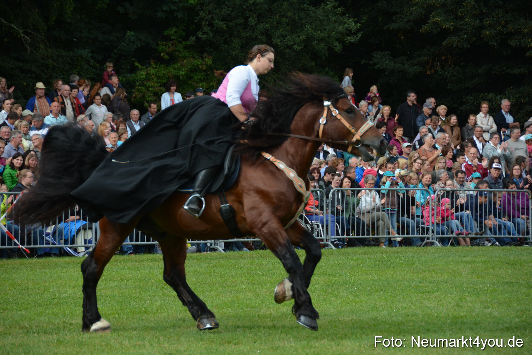 Pferde und Fohlenschau 2016 0112