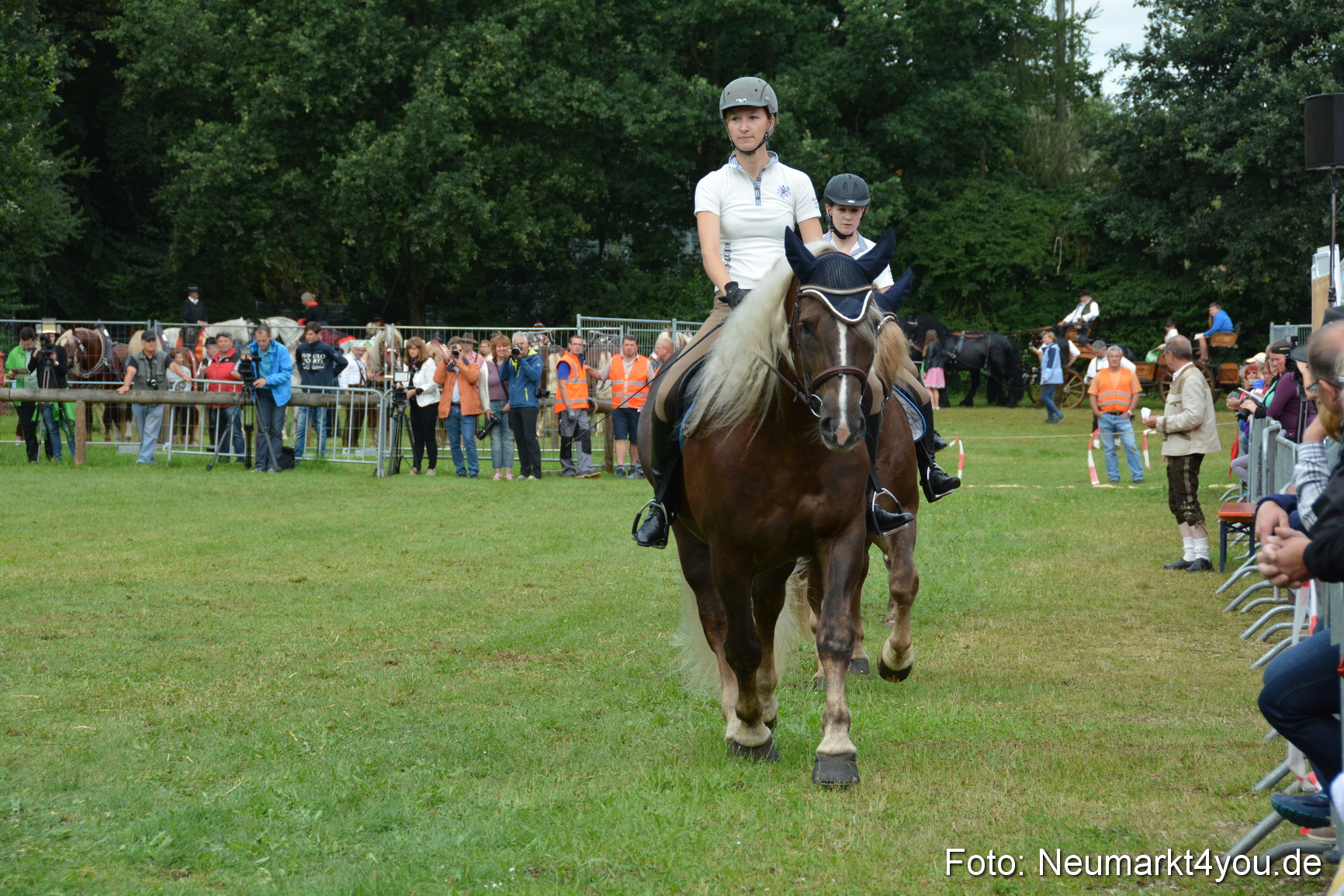 Pferde und Fohlenschau 2016 0113