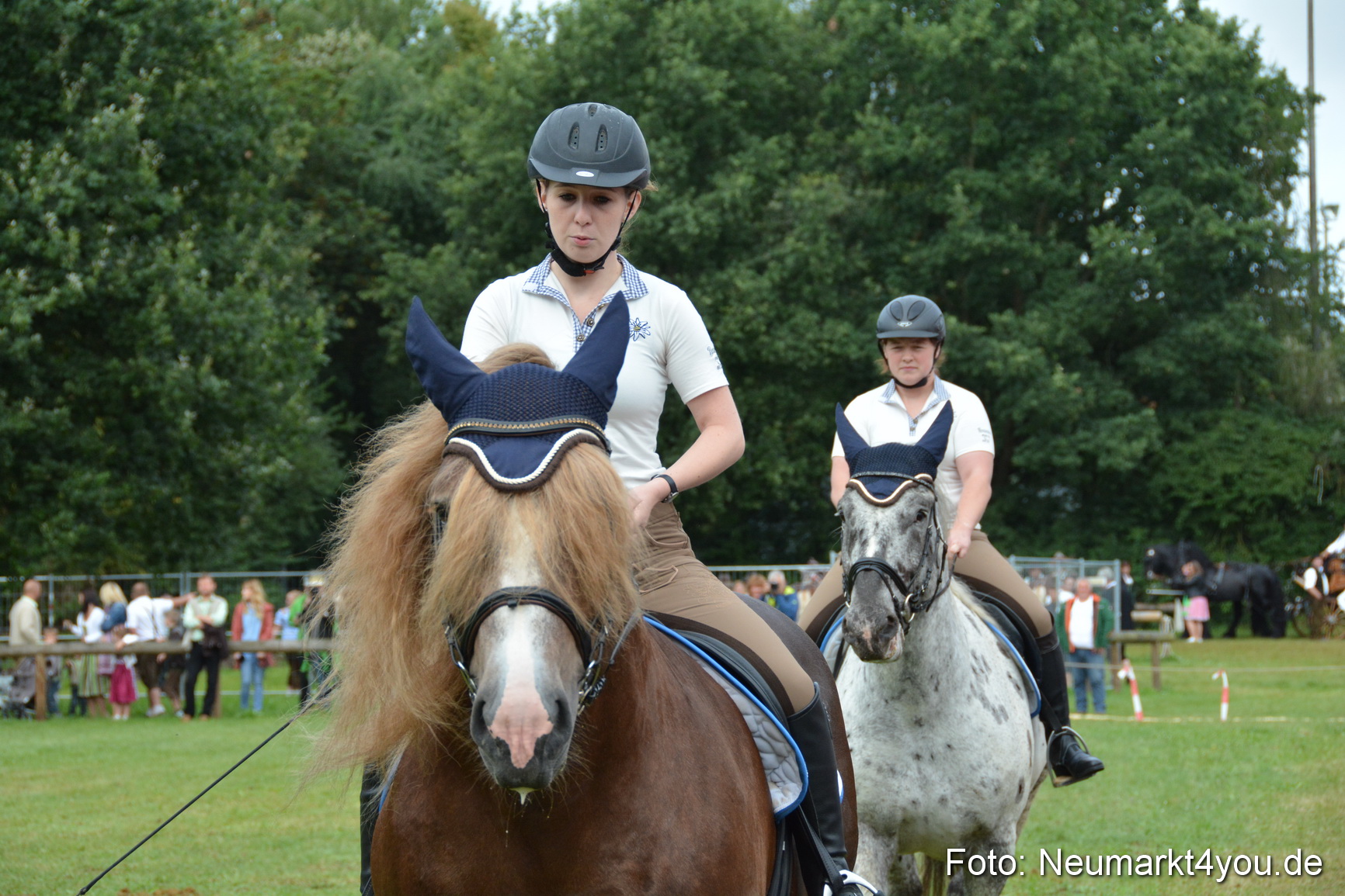 Pferde und Fohlenschau 2016 0114