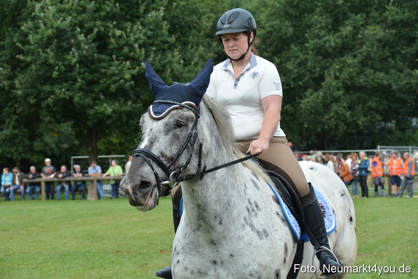 Pferde und Fohlenschau 2016 0115