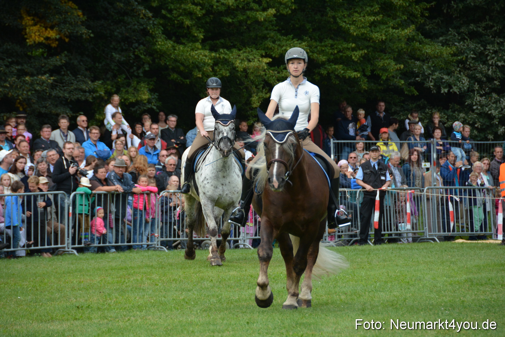 Pferde und Fohlenschau 2016 0116