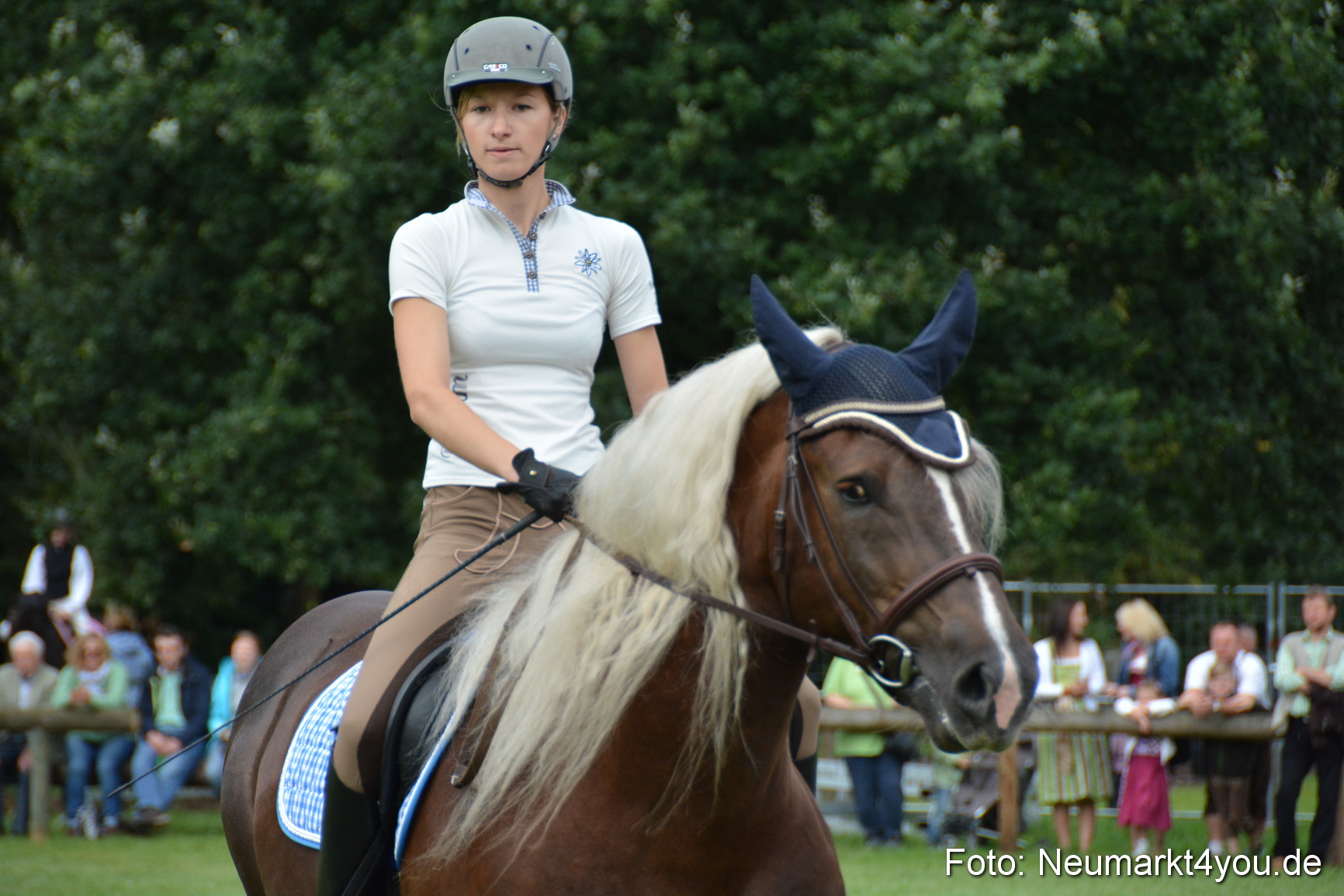 Pferde und Fohlenschau 2016 0117