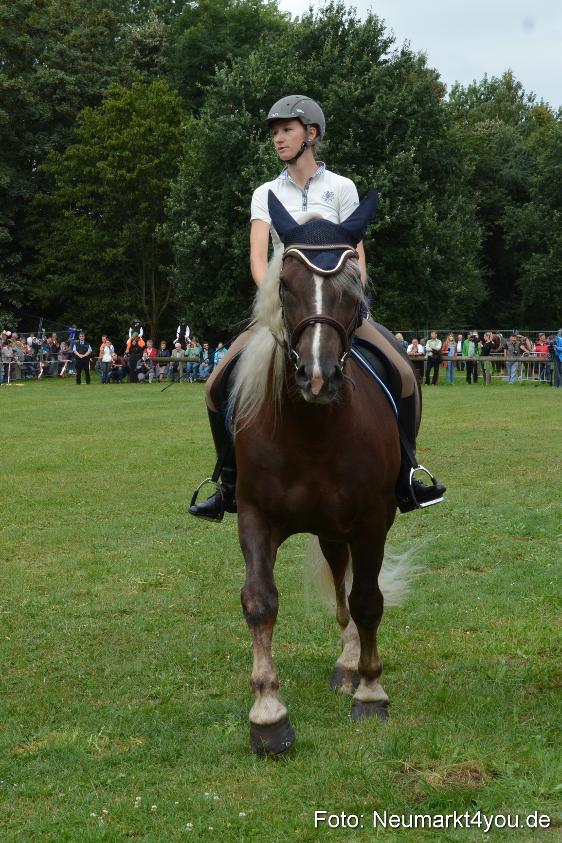 Pferde und Fohlenschau 2016 0118
