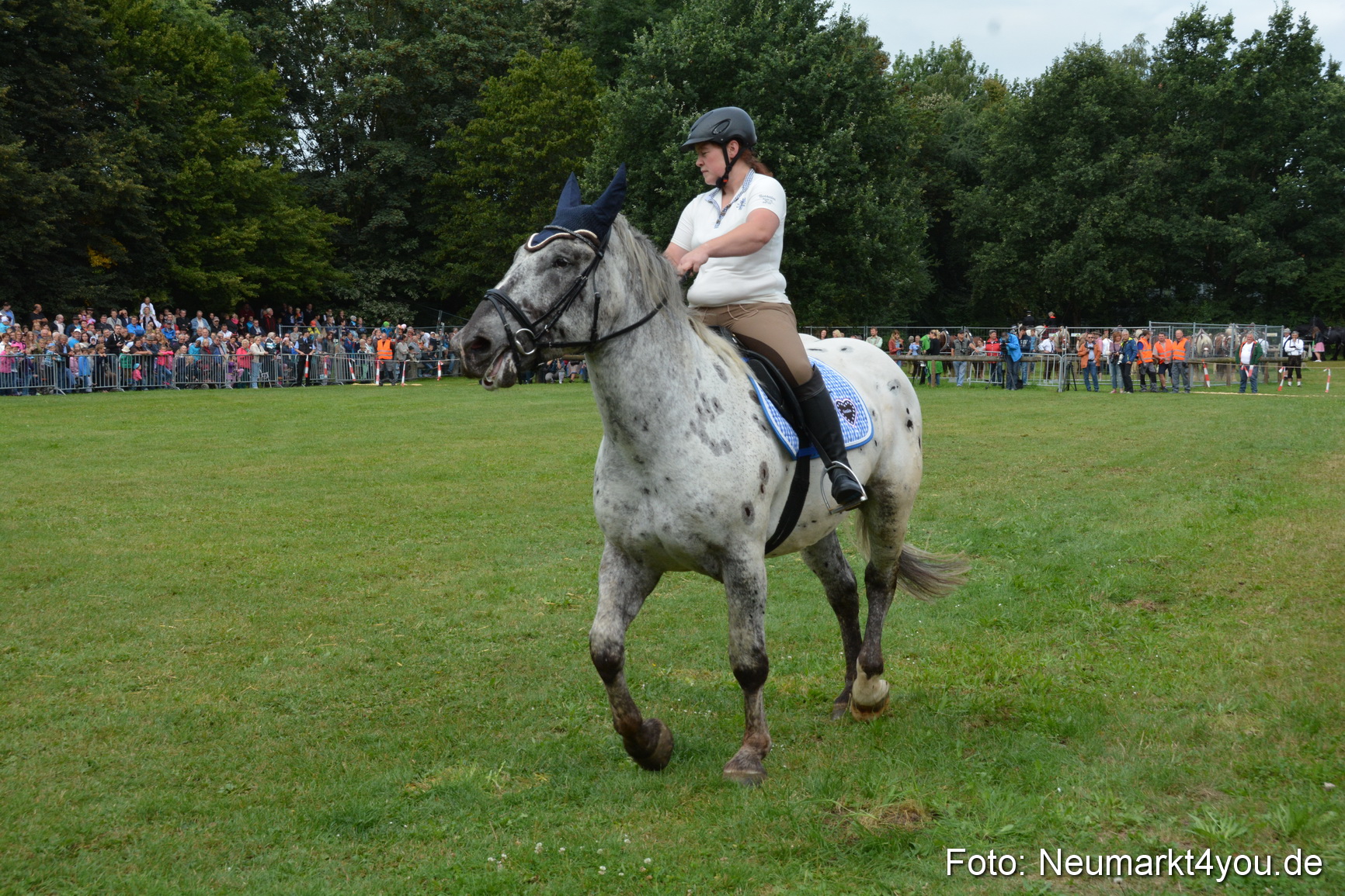 Pferde und Fohlenschau 2016 0119