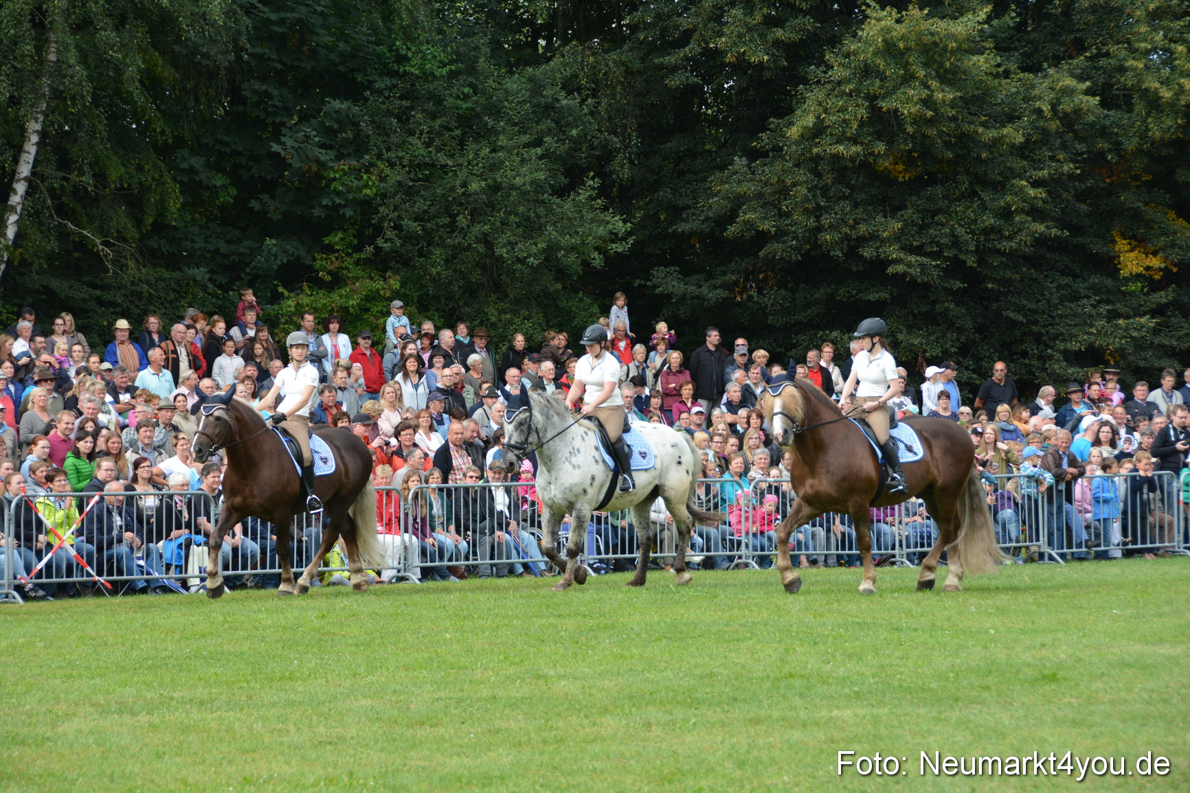 Pferde und Fohlenschau 2016 0121