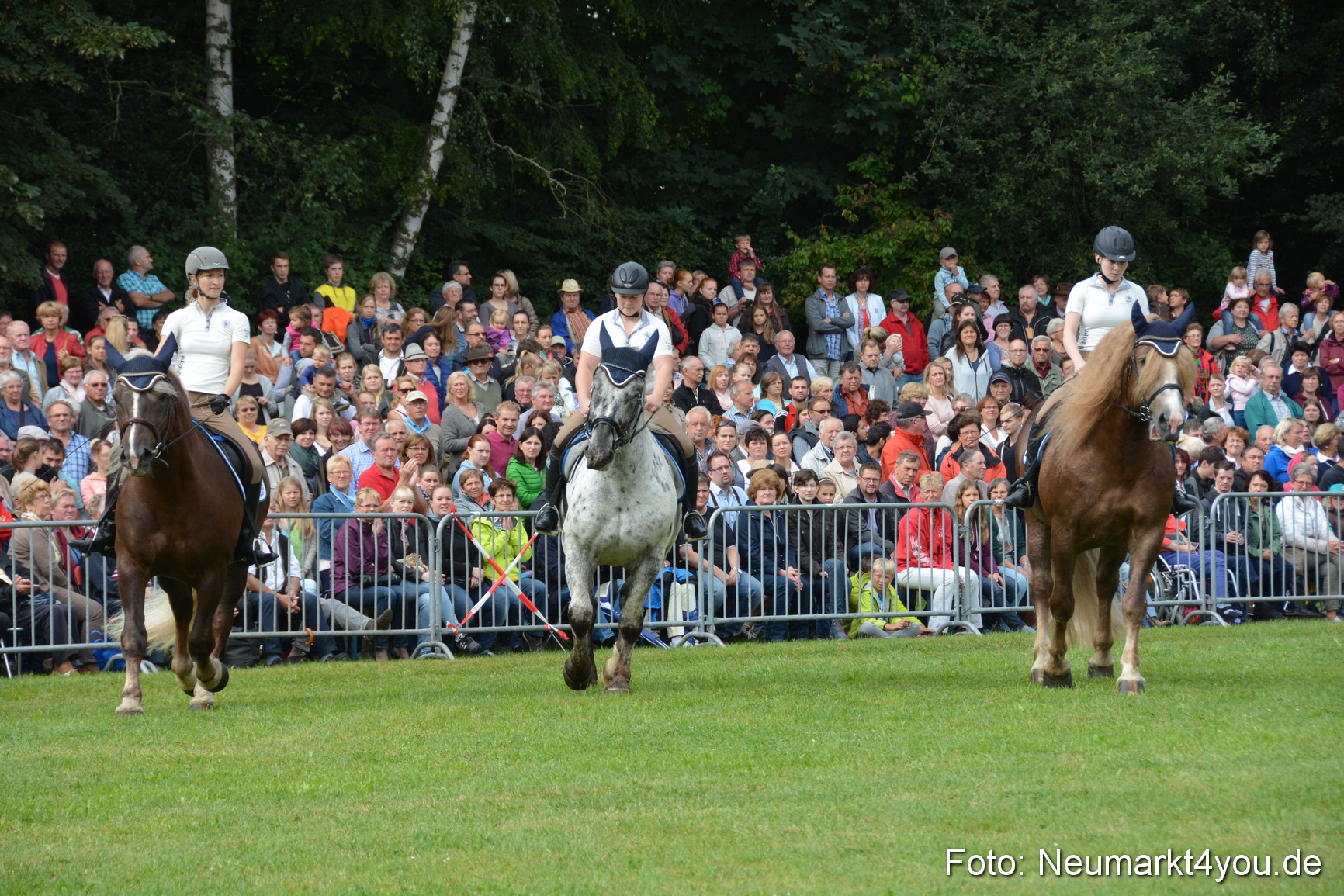 Pferde und Fohlenschau 2016 0122