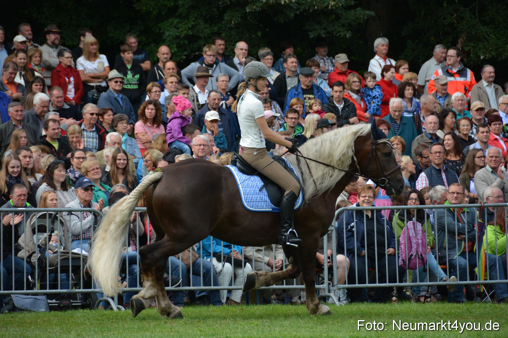 Pferde und Fohlenschau 2016 0124