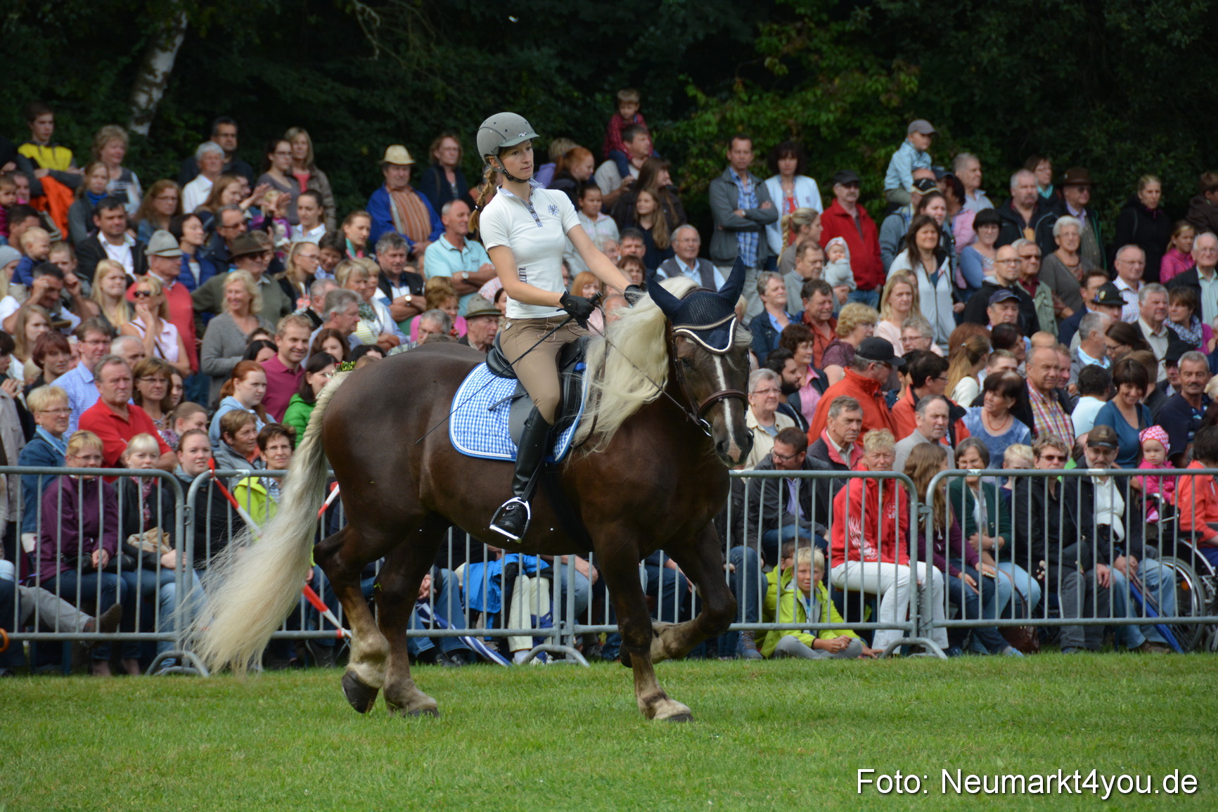 Pferde und Fohlenschau 2016 0125