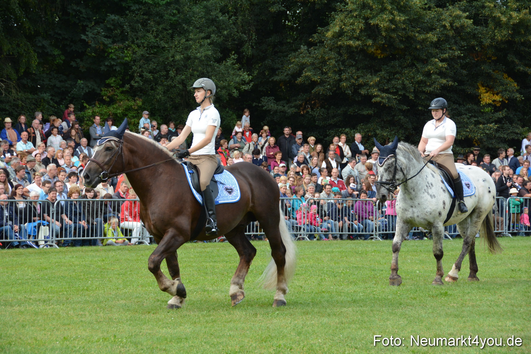 Pferde und Fohlenschau 2016 0126