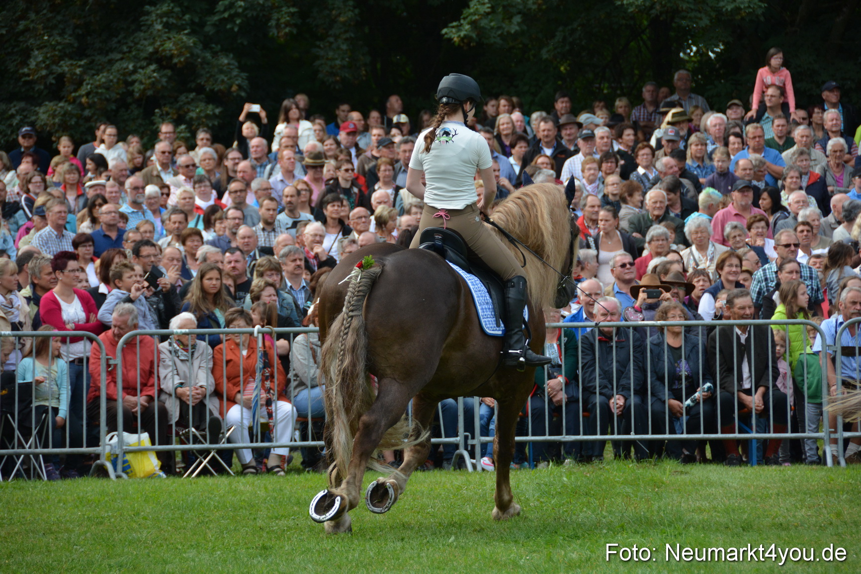 Pferde und Fohlenschau 2016 0127