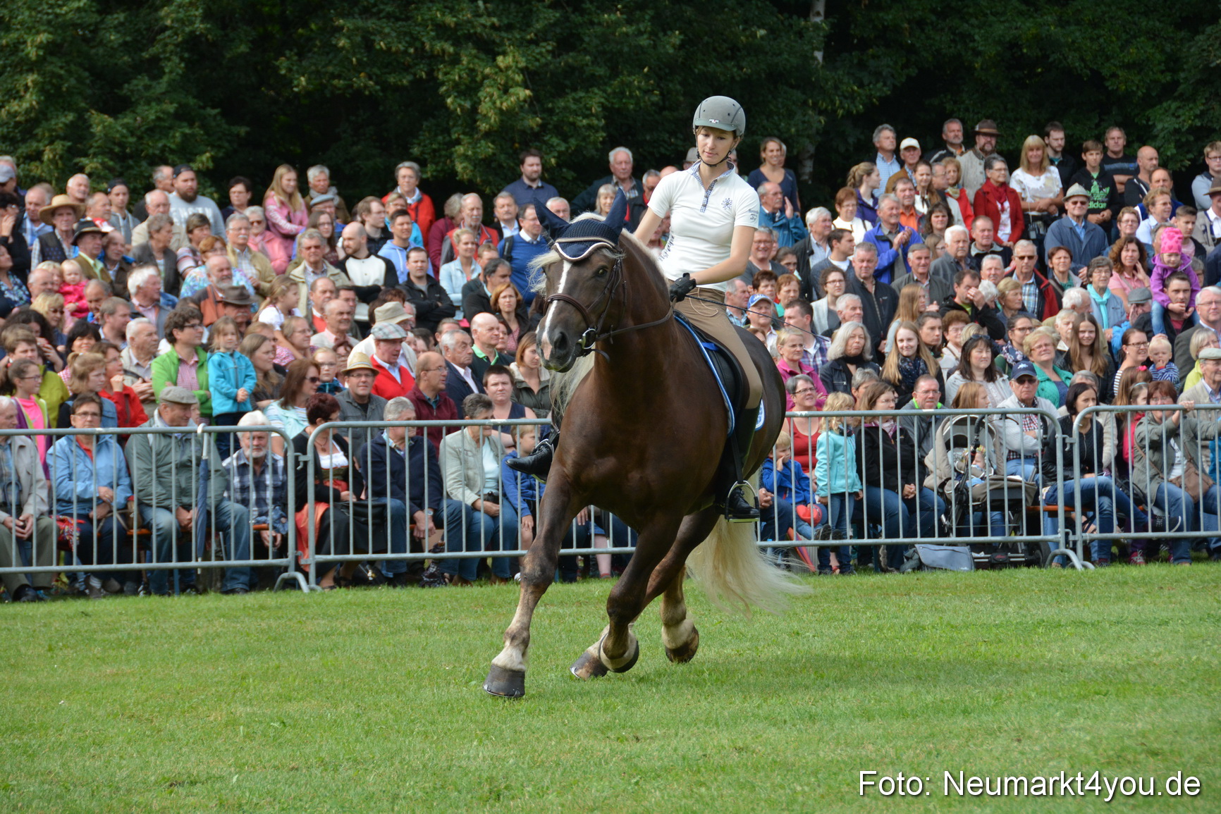 Pferde und Fohlenschau 2016 0128