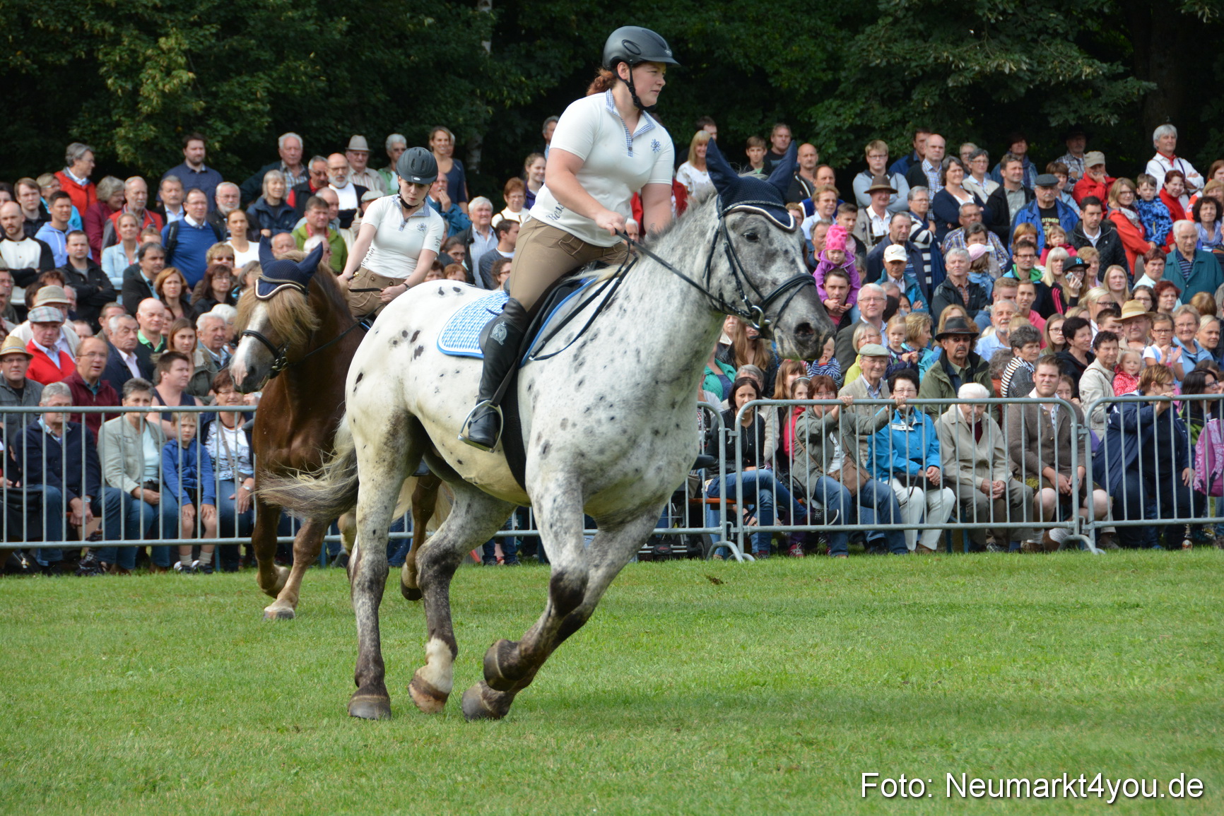 Pferde und Fohlenschau 2016 0129