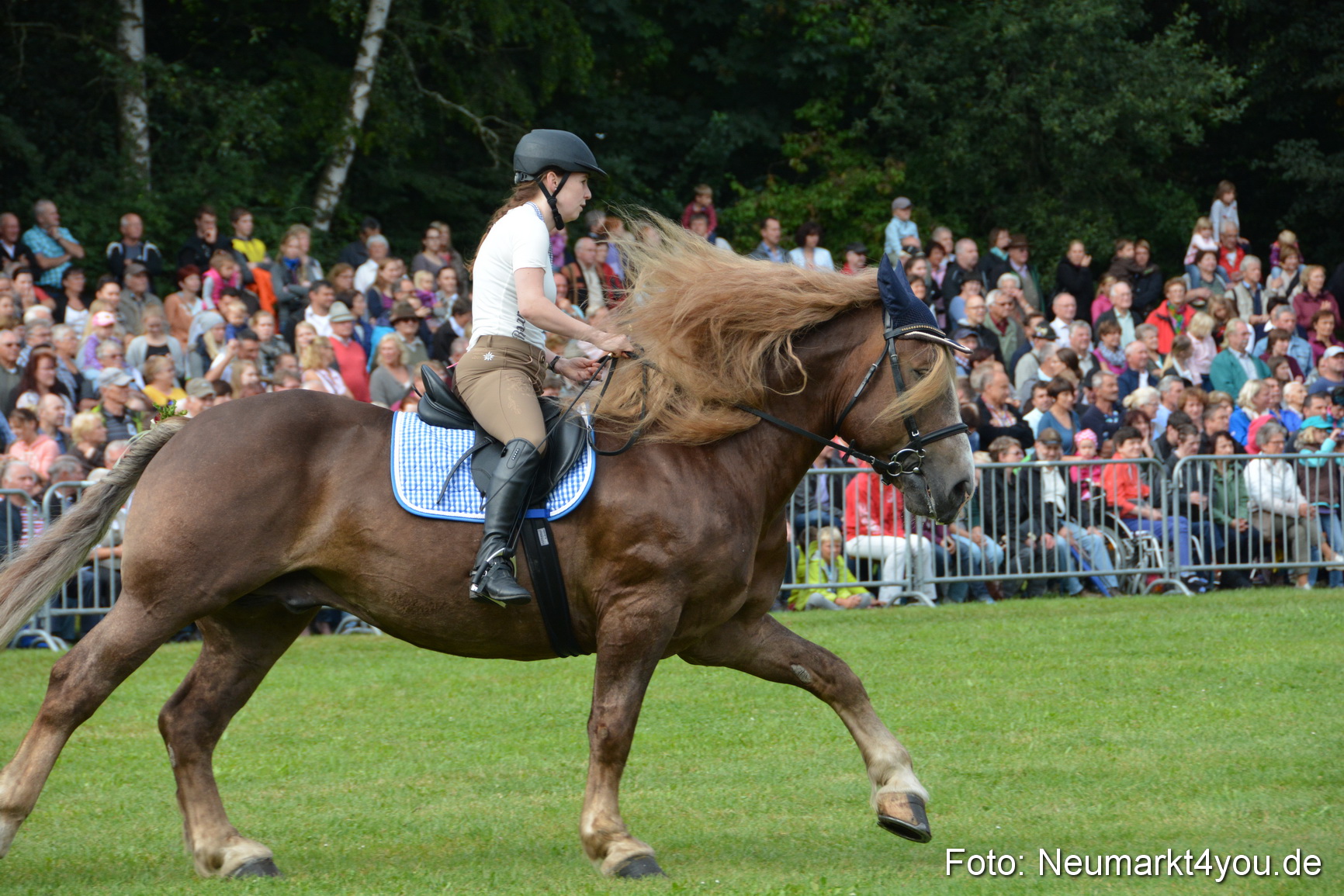 Pferde und Fohlenschau 2016 0130