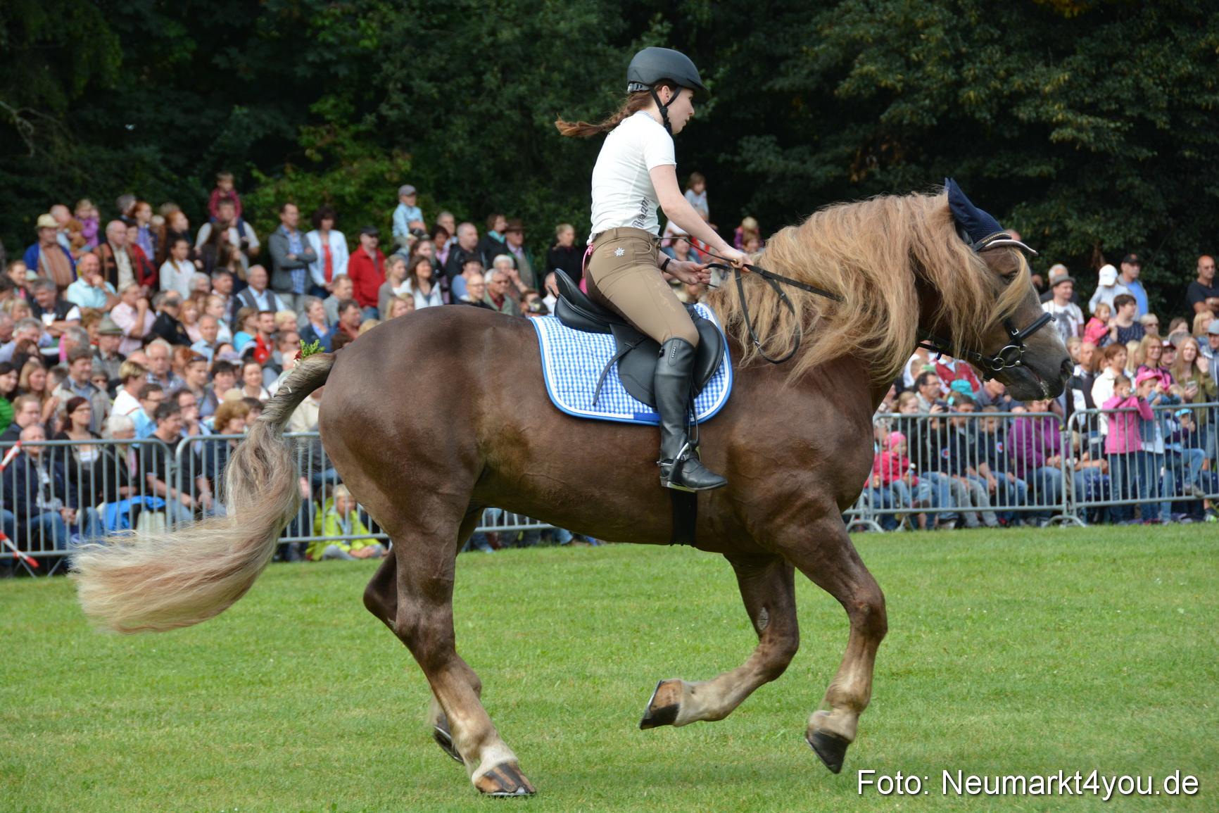 Pferde und Fohlenschau 2016 0131