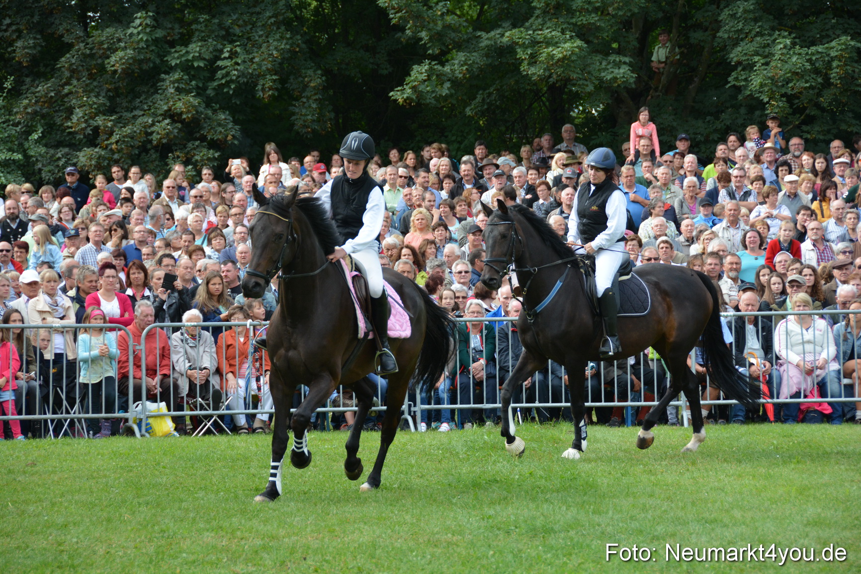Pferde und Fohlenschau 2016 0132