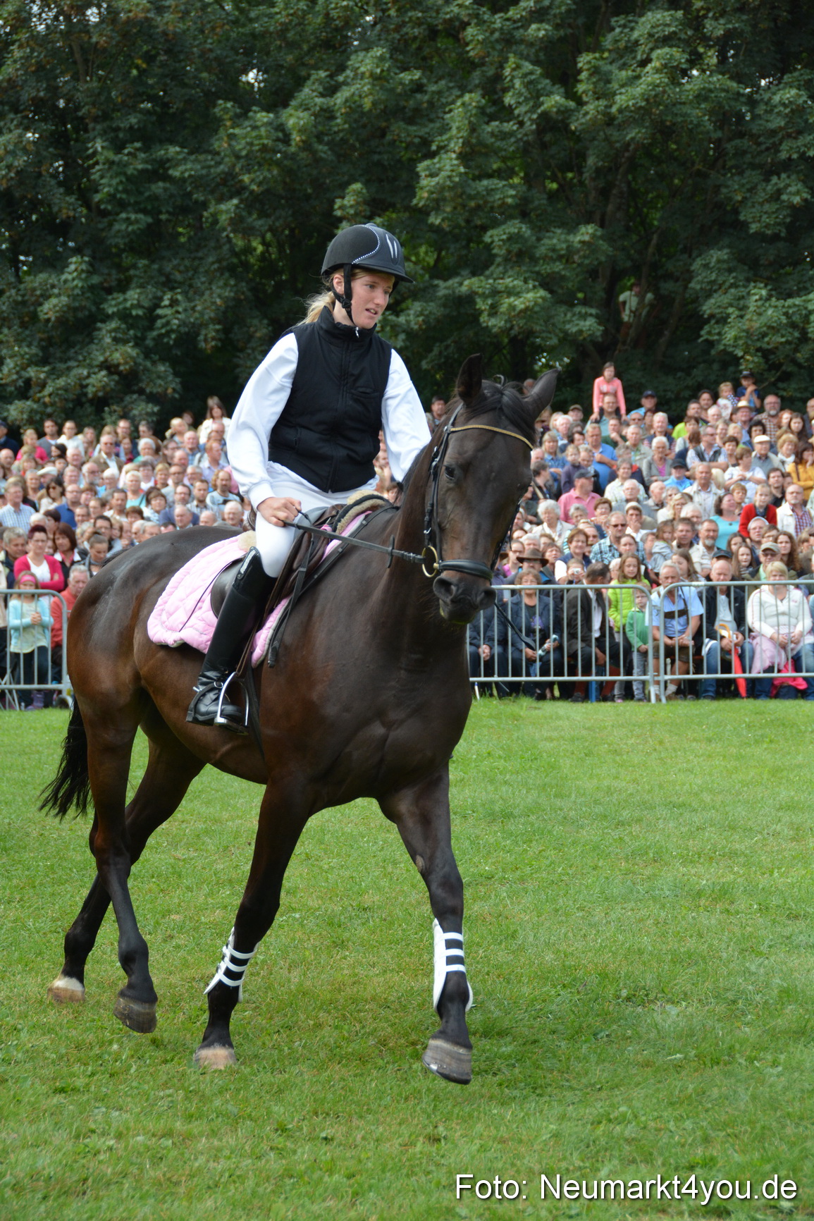 Pferde und Fohlenschau 2016 0133
