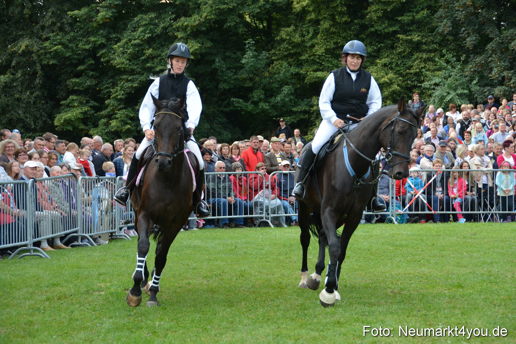 Pferde und Fohlenschau 2016 0134