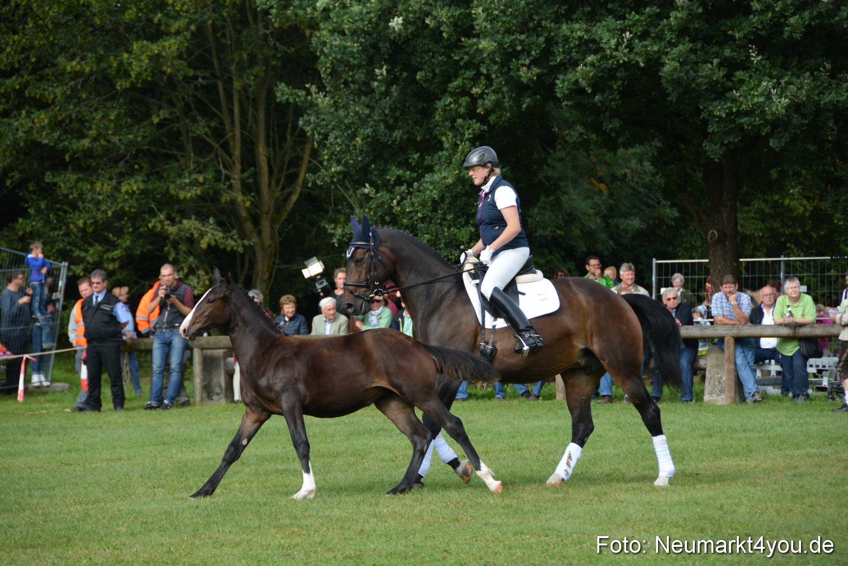 Pferde und Fohlenschau 2016 0136