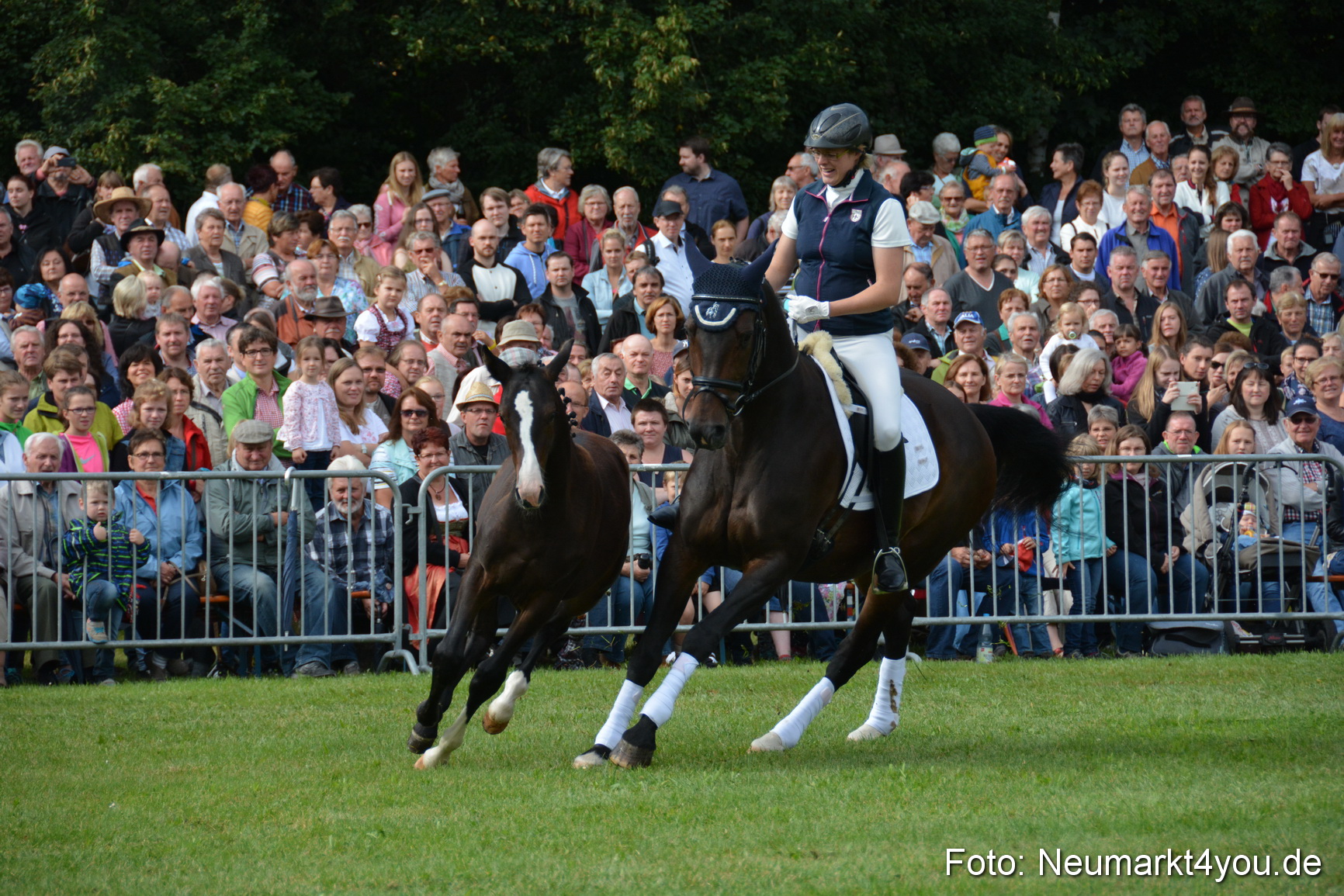 Pferde und Fohlenschau 2016 0137
