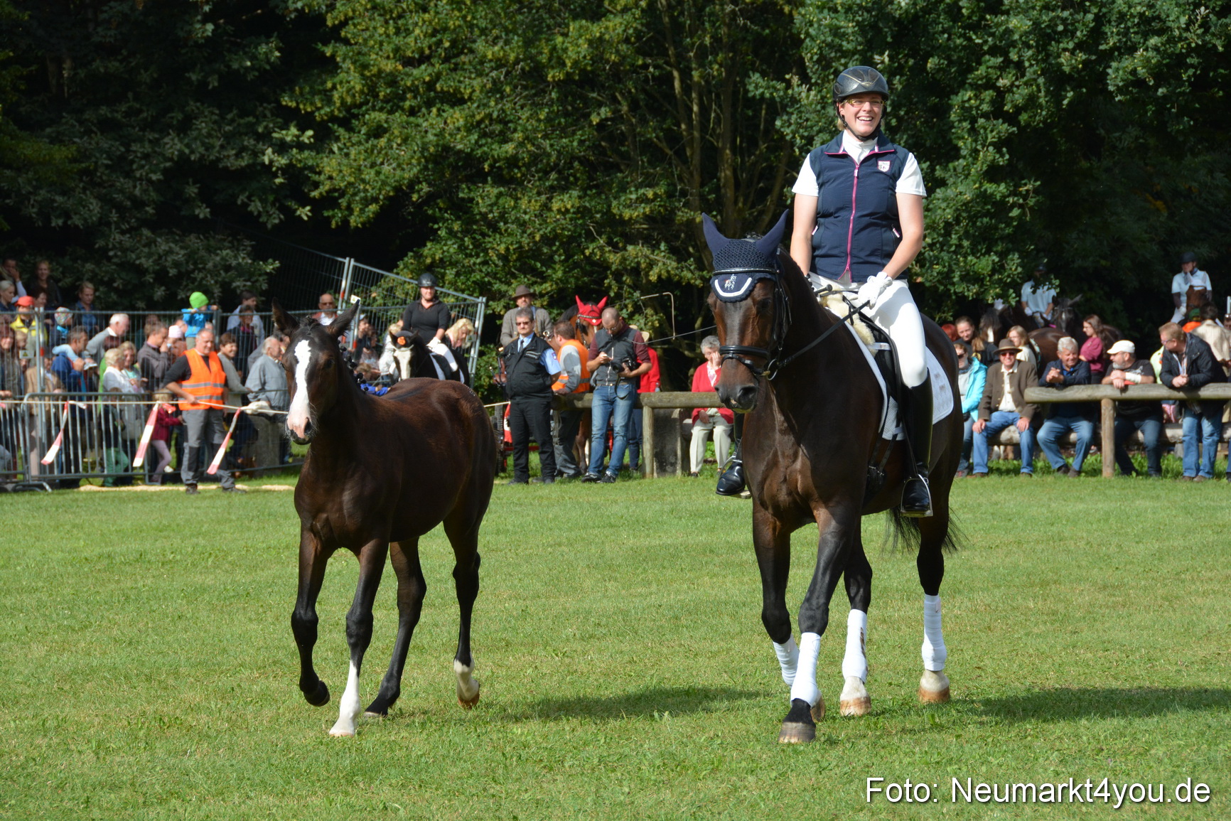 Pferde und Fohlenschau 2016 0148