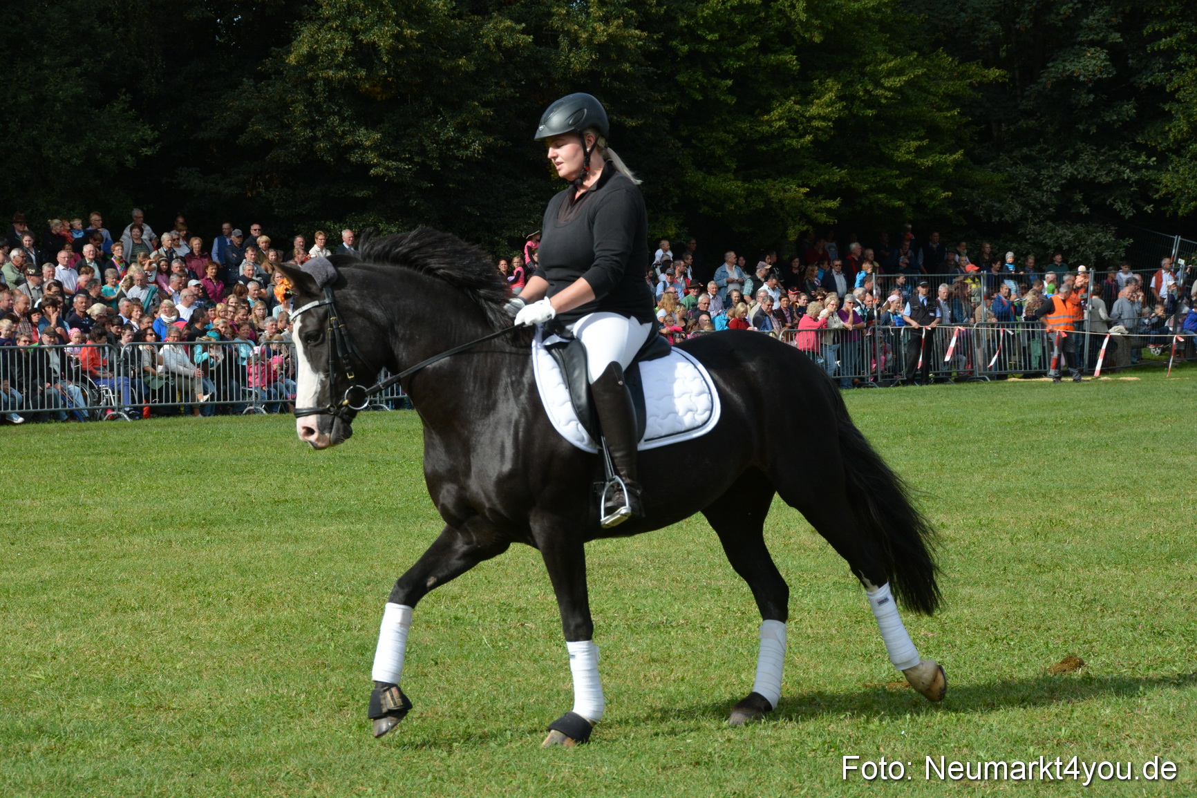 Pferde und Fohlenschau 2016 0152